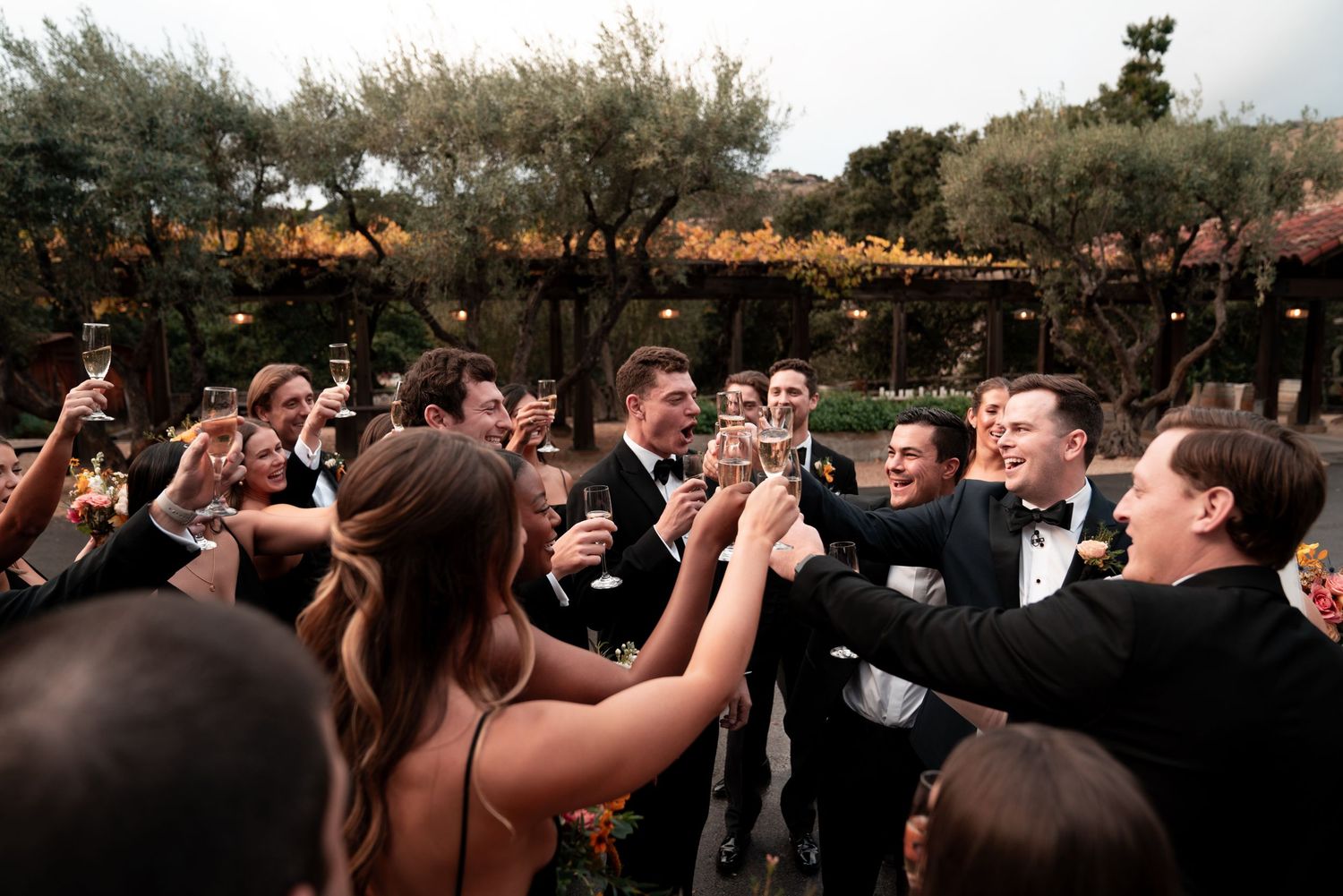 Wedding party toasting with champagne glasses outdoors at elegant venue in formal attire.