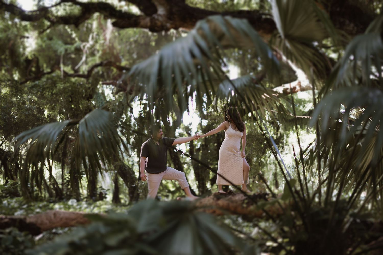 A group of people walk through a lush tropical garden path with tall palm trees and dense foliage overhead.