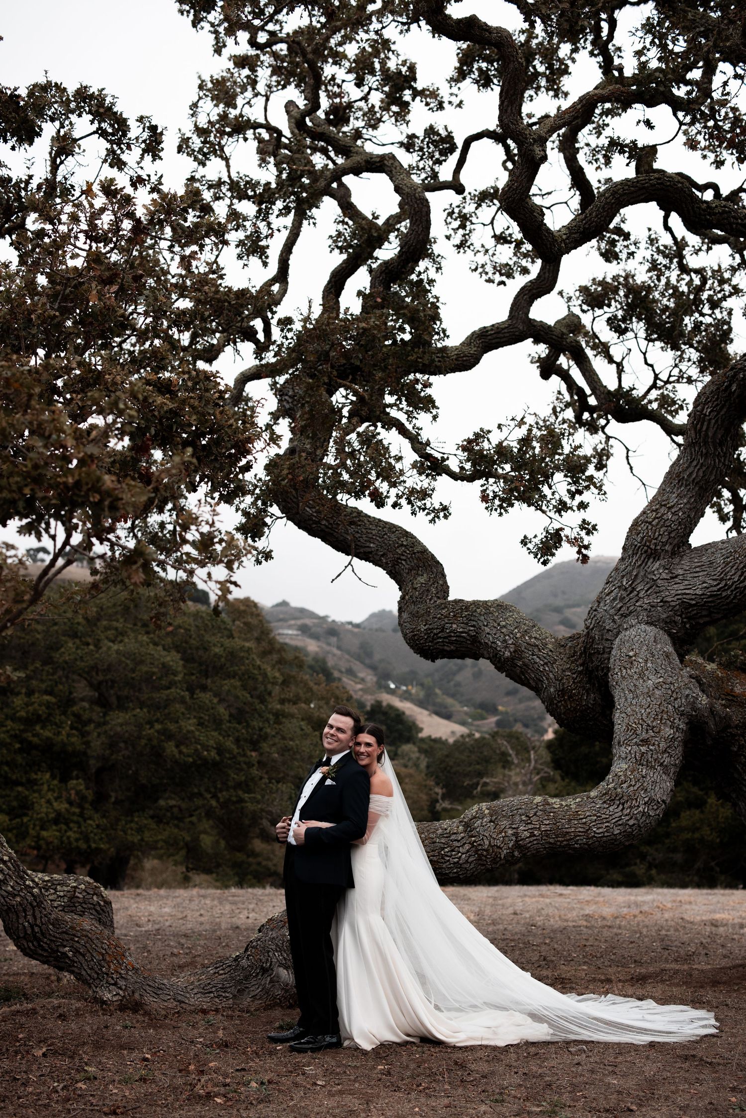 Bride and groom pose under a gnarled oak tree with rolling hills backdrop on their wedding day.