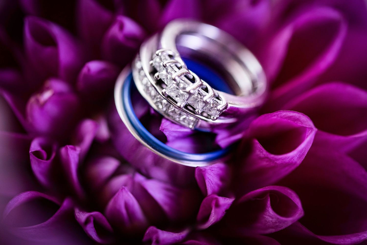Wedding rings nestled on purple dahlia petals with diamond details.