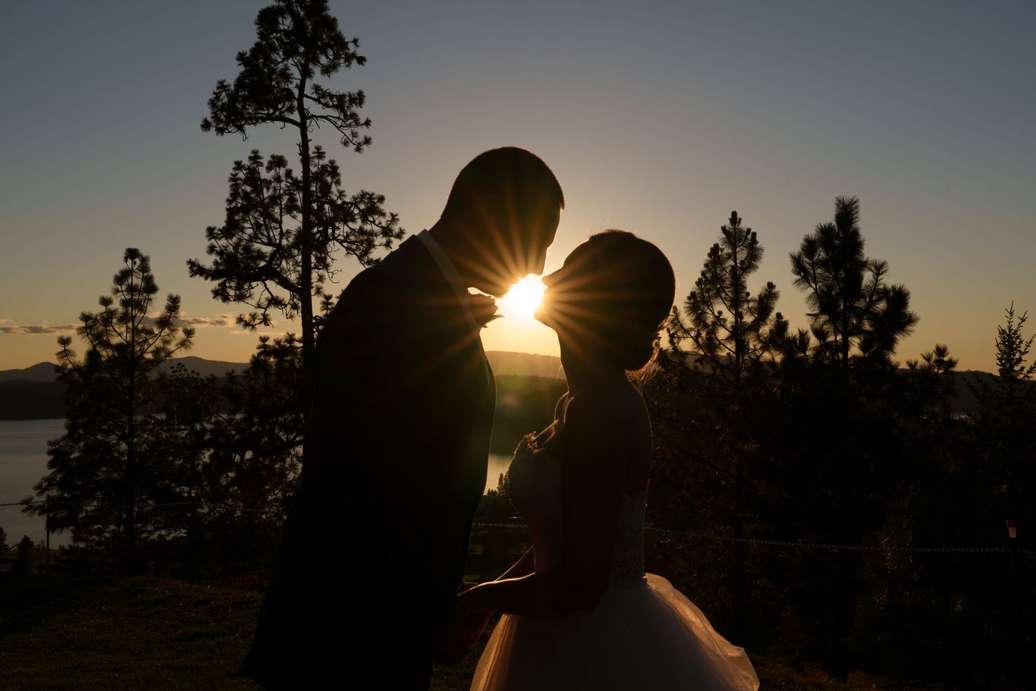Romantic silhouette of two figures against sunset with pine trees in the background.