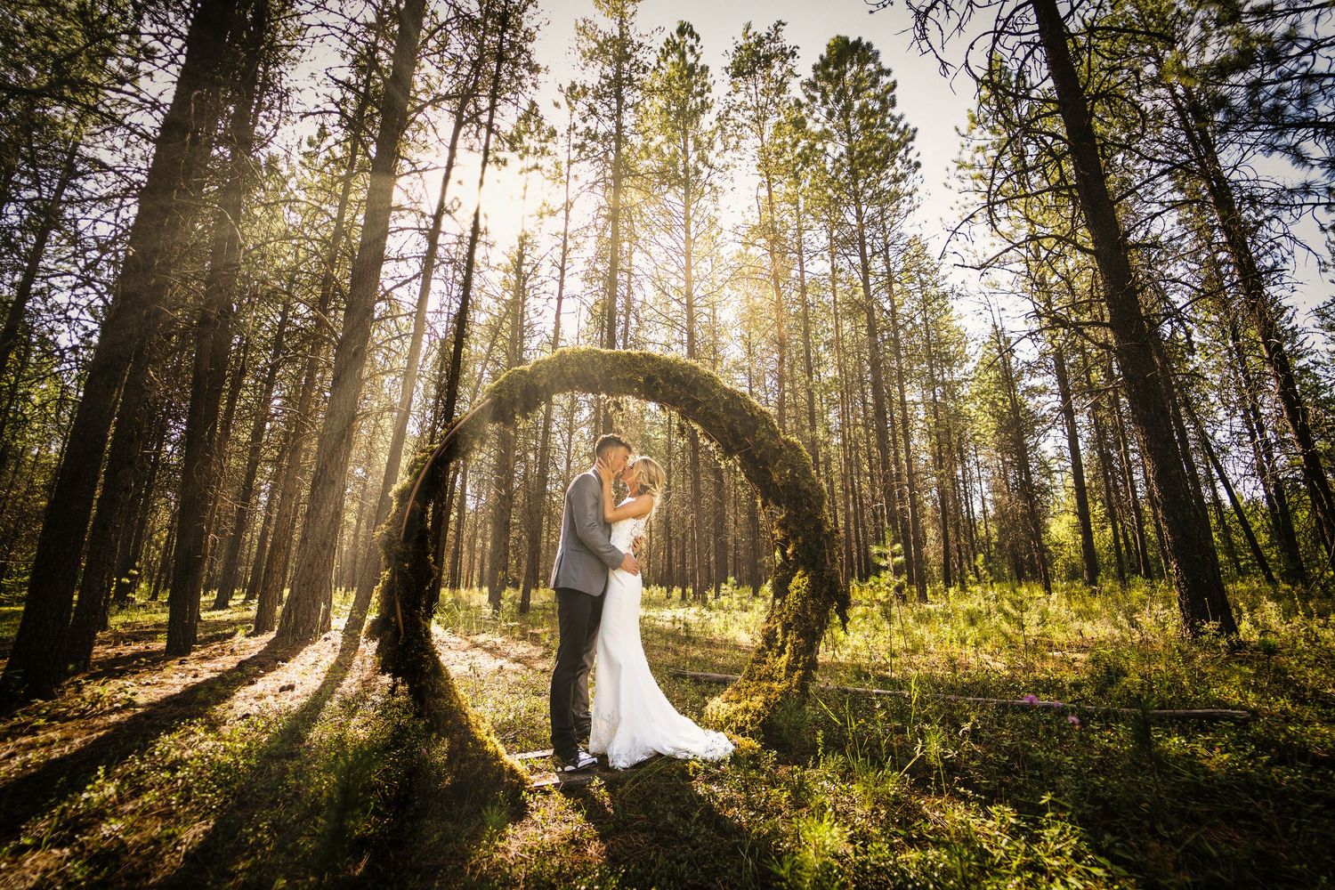 Dramatic forest wedding portrait with natural arch and sunbeams filtering through towering pine trees.