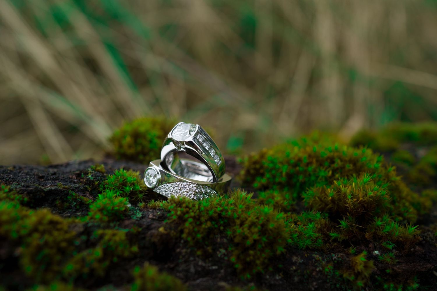 Diamond wedding rings artistically photographed on moss in nature.