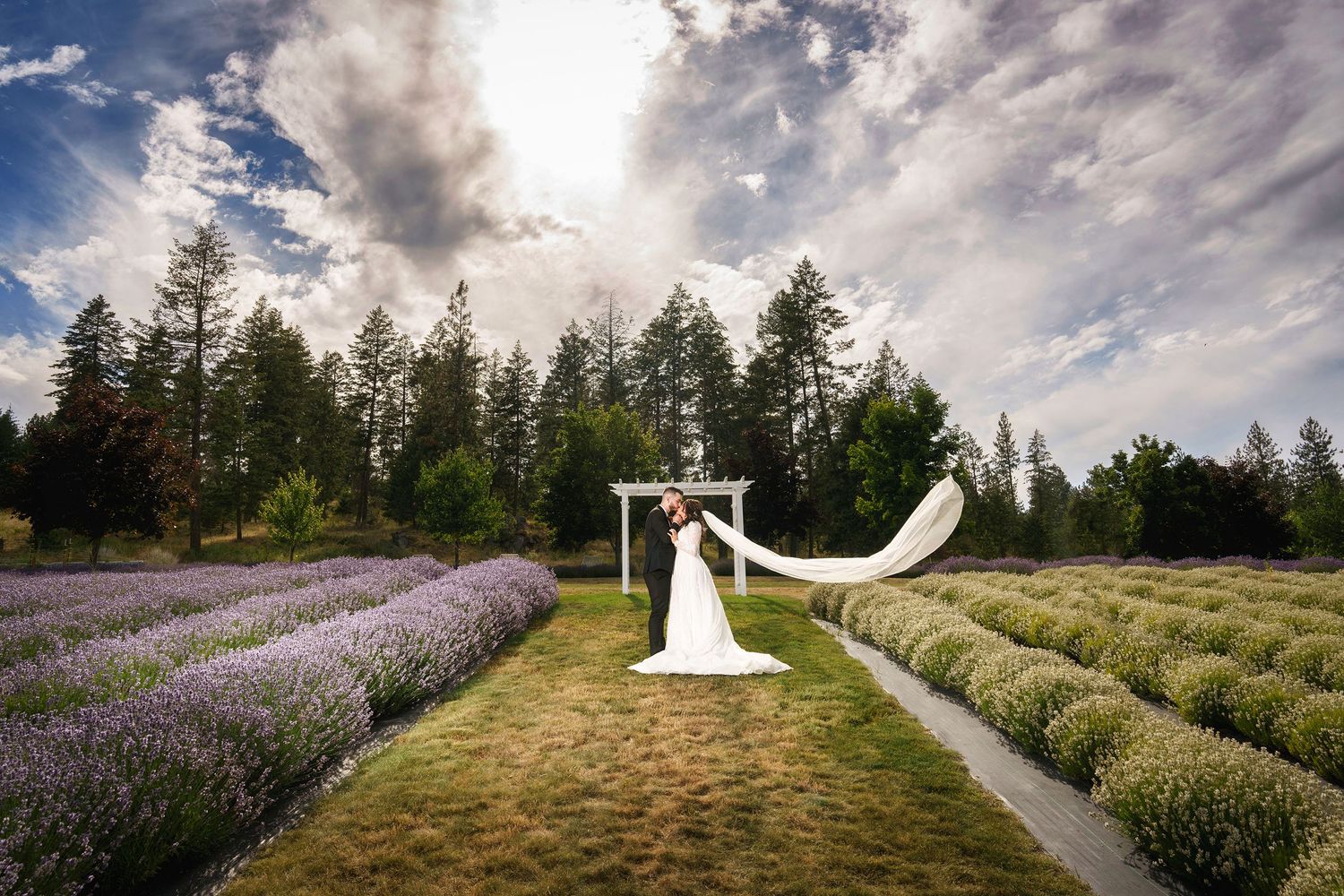 Flowing white veil catches wind in lavender field with evergreen trees and cloudy sky backdrop.