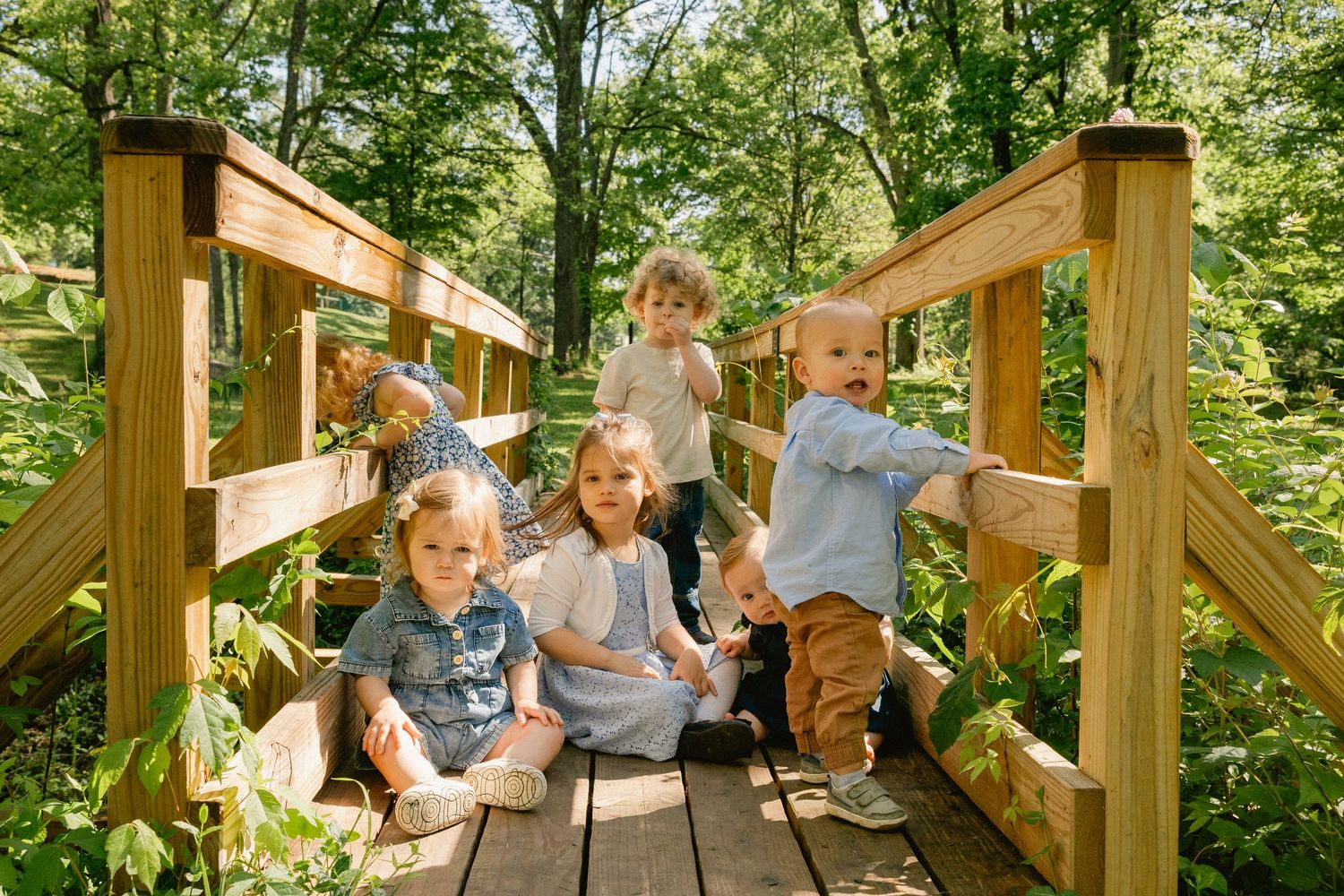 Four young children playing on a wooden bridge surrounded by lush green trees in a sunny forest setting.