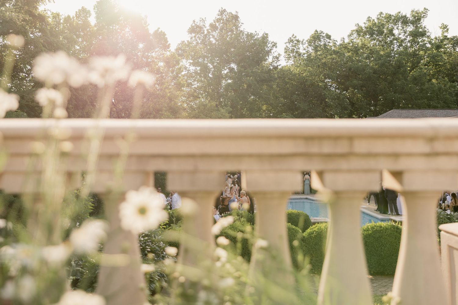 Sunlit garden with white wildflowers and stone balustrade, couple visible in soft bokeh background.