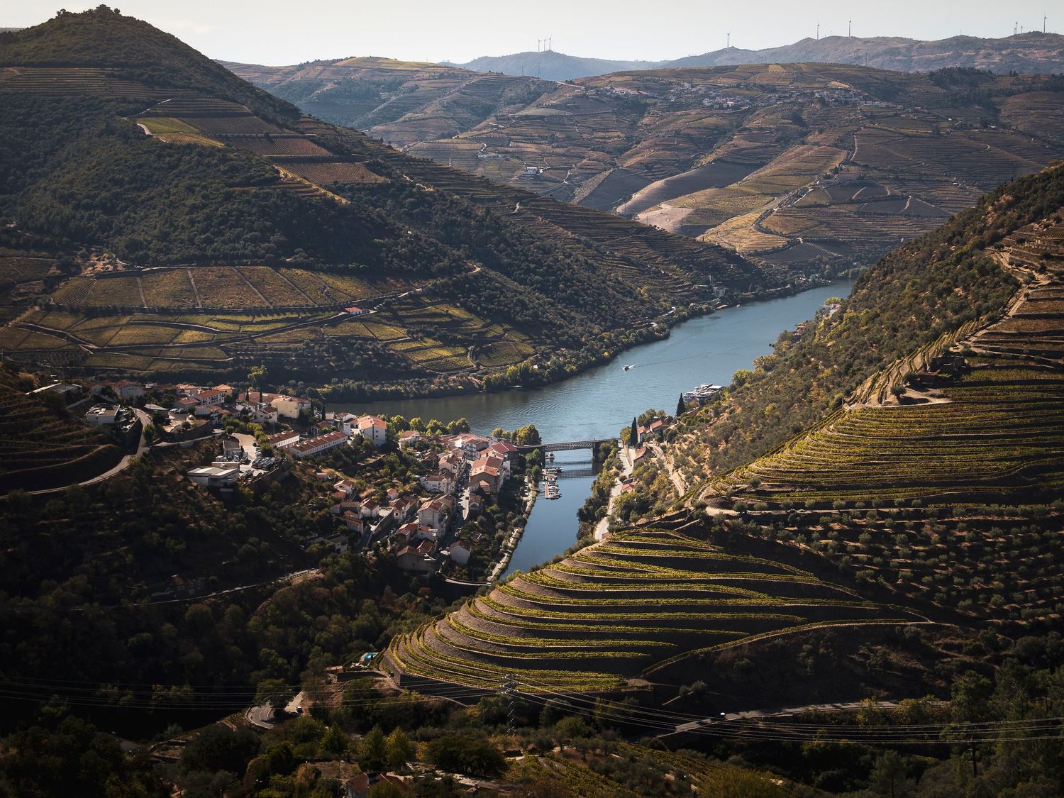 Panoramic view of terraced vineyards along a winding river valley in mountainous terrain.