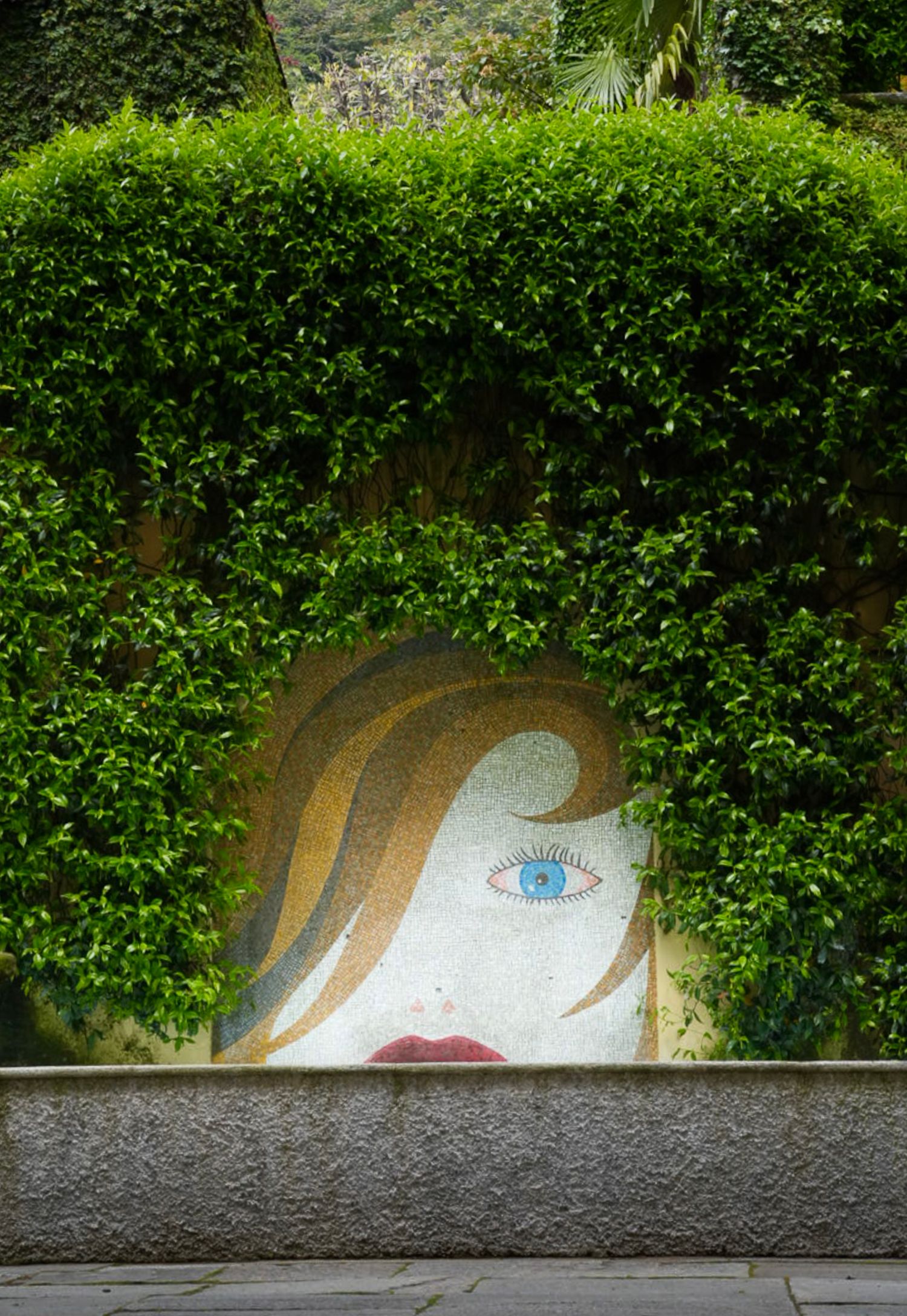 Street art mural of a face partially hidden behind green foliage.