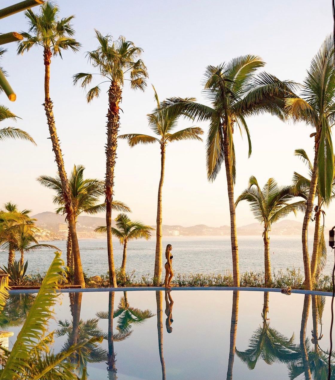 Luxurious infinity pool surrounded by palm trees overlooking ocean at sunset.