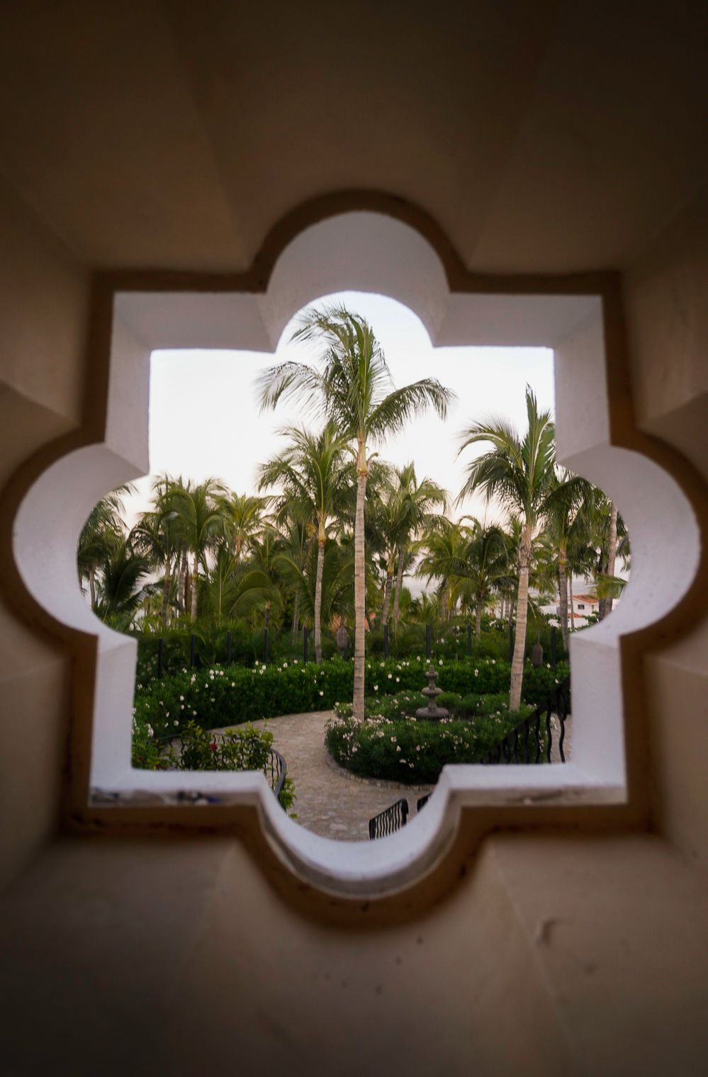 Palm trees viewed through quatrefoil-shaped window frame creating tropical symmetrical composition.