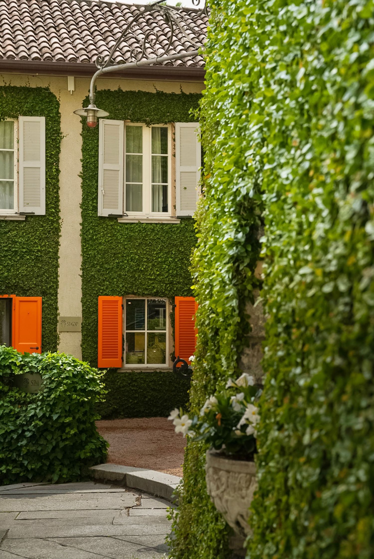 Ivy-covered European style house with orange shutters and white windows.