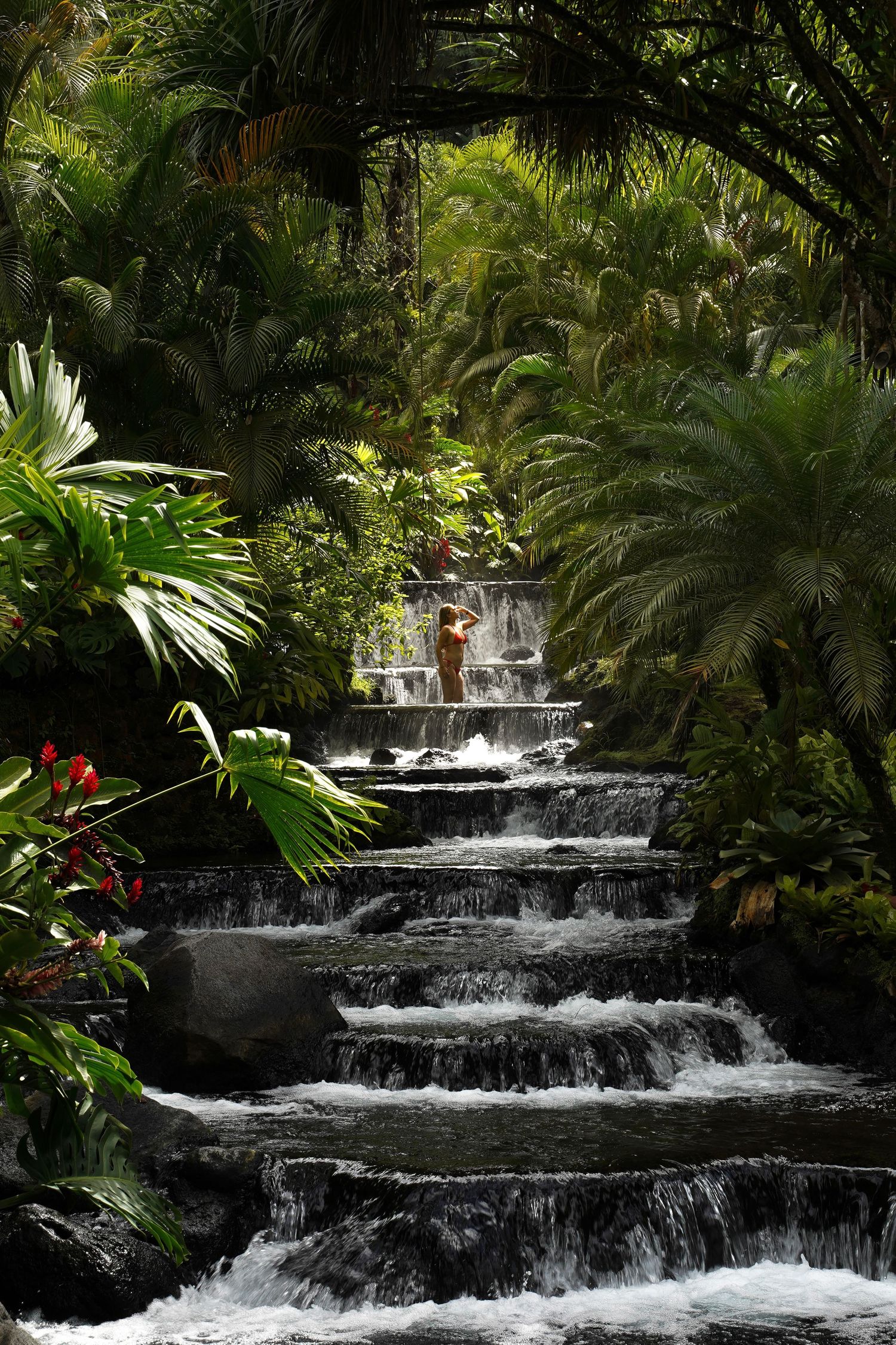 Cascading waterfall steps surrounded by lush tropical plants and palm fronds in a serene garden setting.