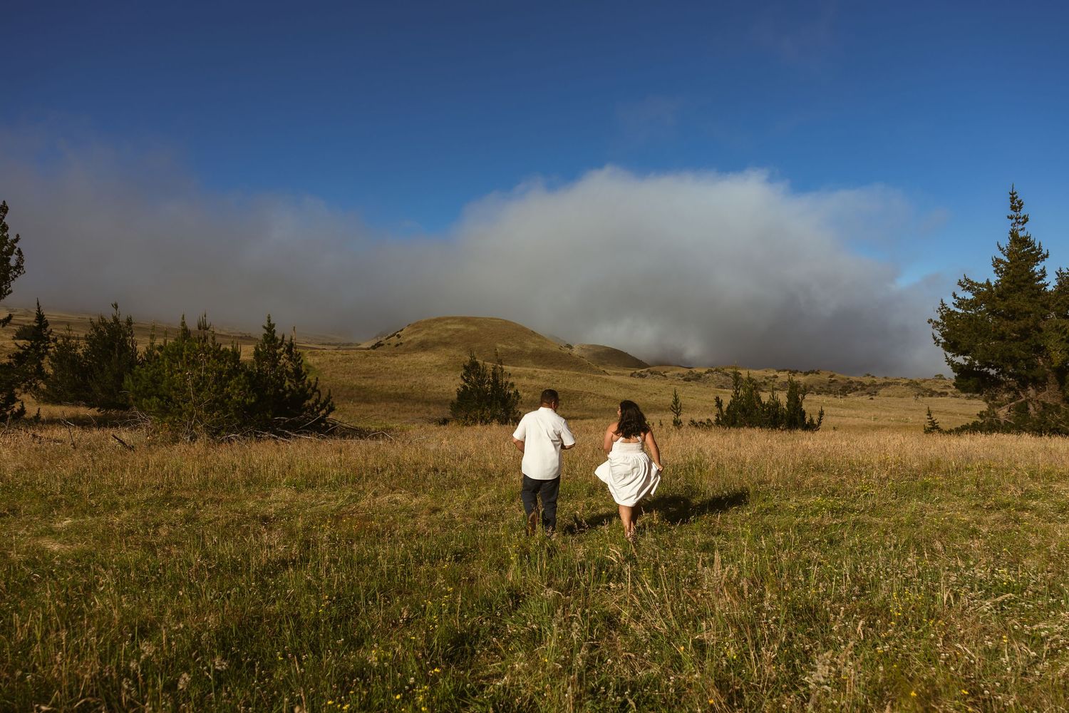 Couple walking hand in hand through golden meadow with pine trees and dramatic cloudy sky in rolling hills.