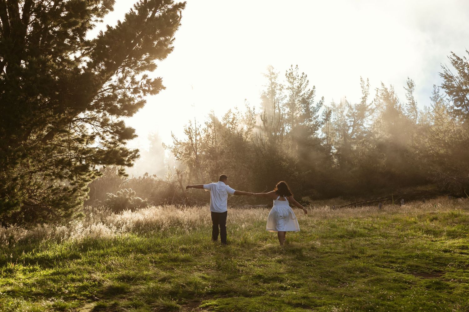 Couple holding hands walking through a sunlit meadow surrounded by lush green trees and golden grasses.
