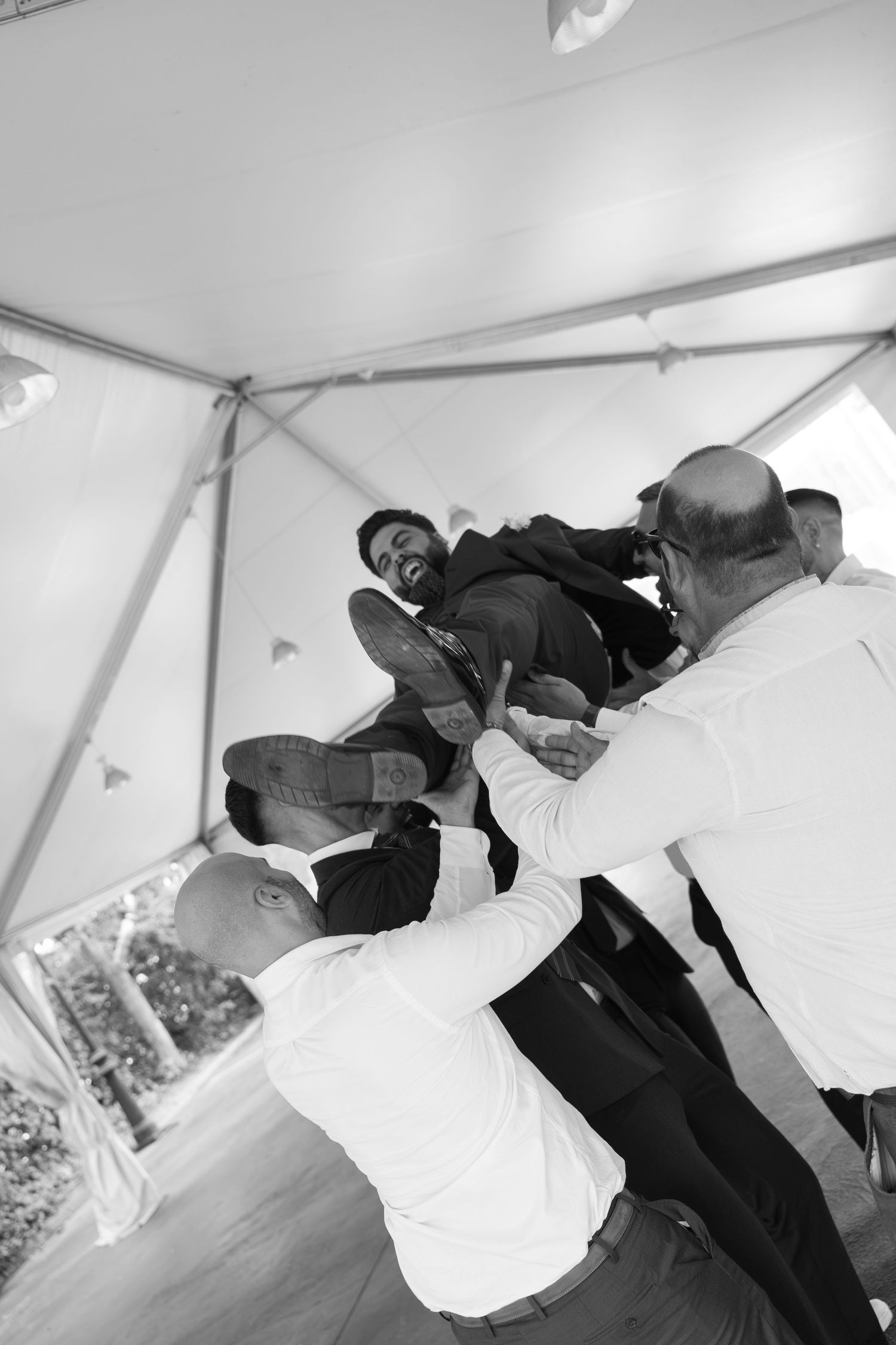 Black and white photo of groomsmen lifting and tossing groom in the air under a tent.