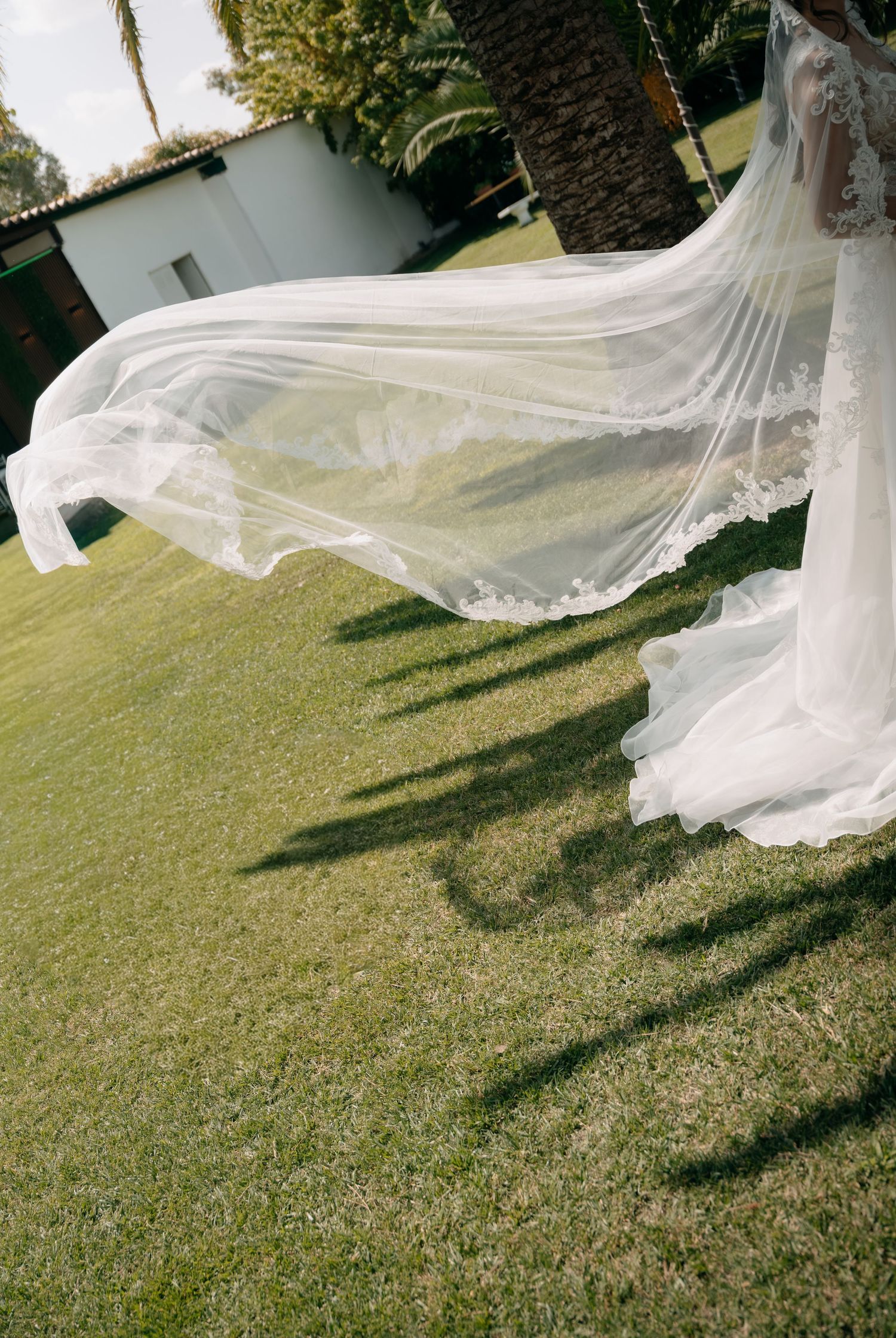 Bride in a lace wedding gown with a long sheer veil flowing in the wind across a sunny green lawn near palm trees.