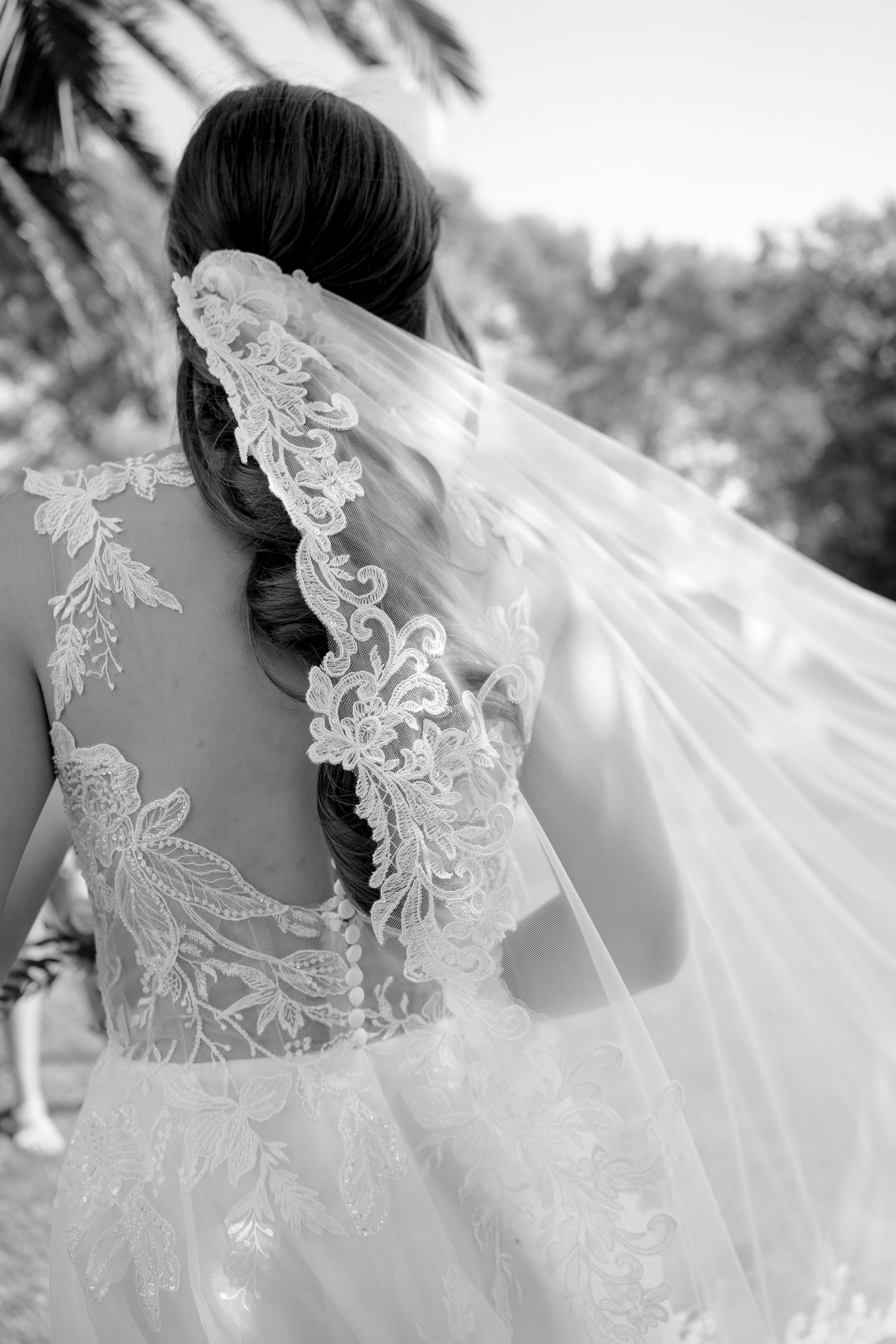 Black and white photo of a bride from behind, showcasing intricate lace wedding dress and veil detailing.