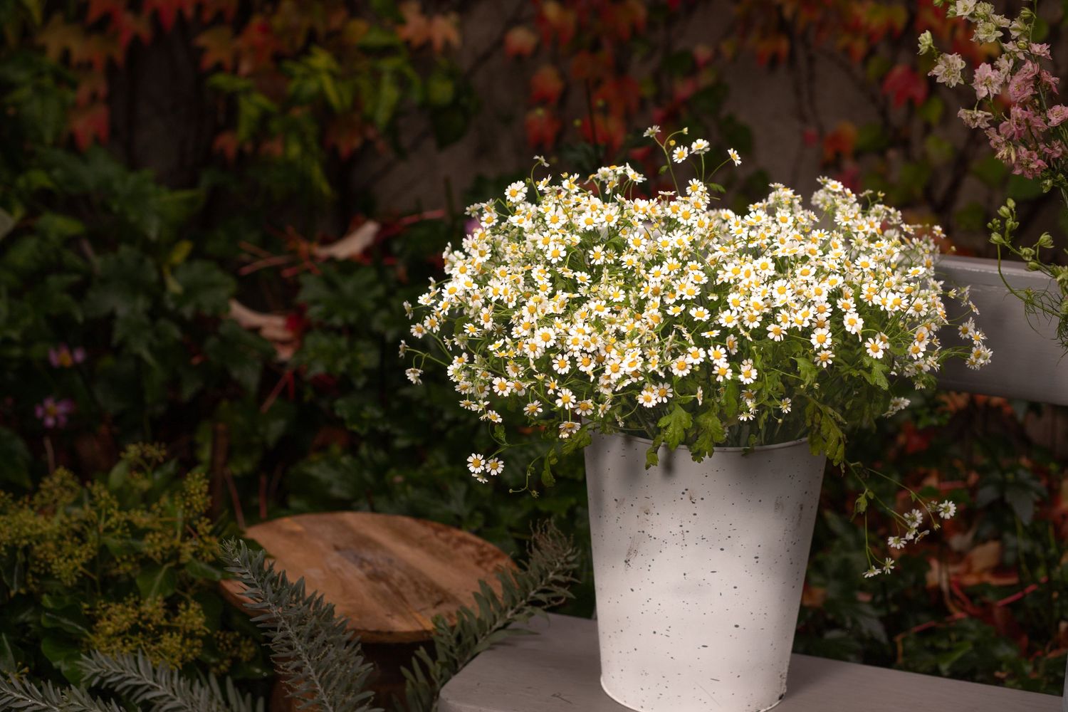 Product Photography