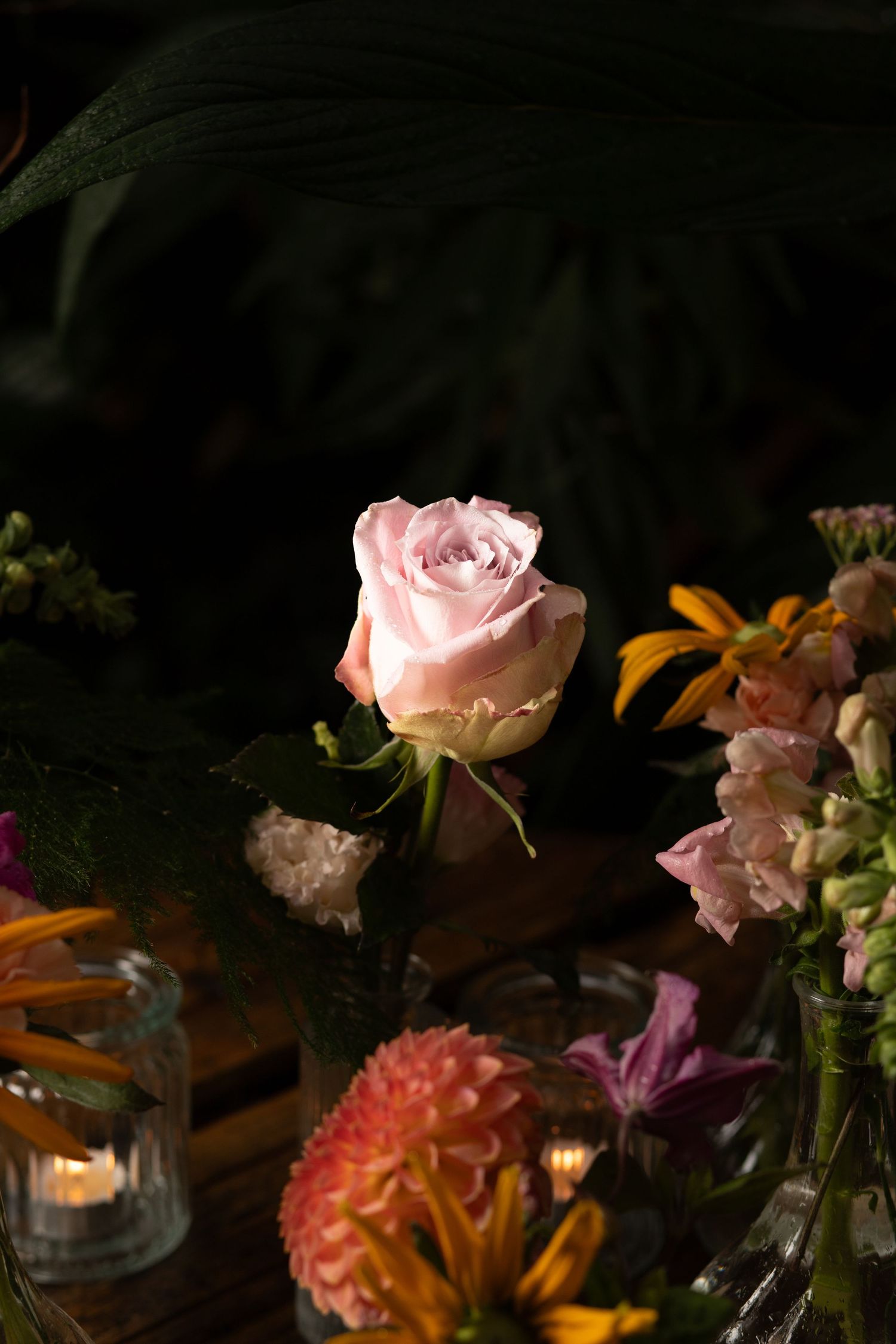 Product Photography