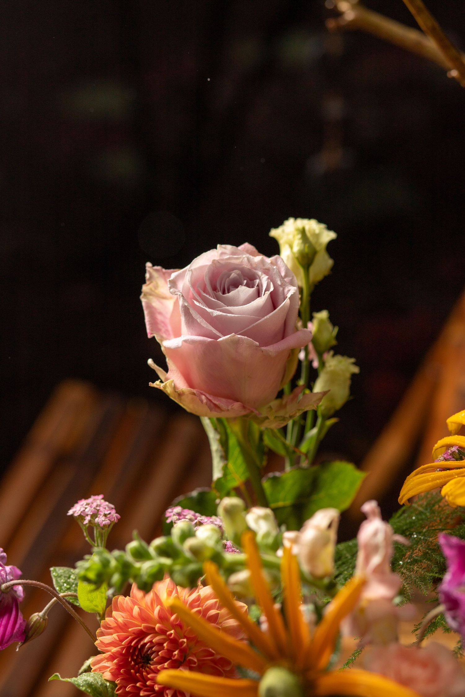 Product Photography