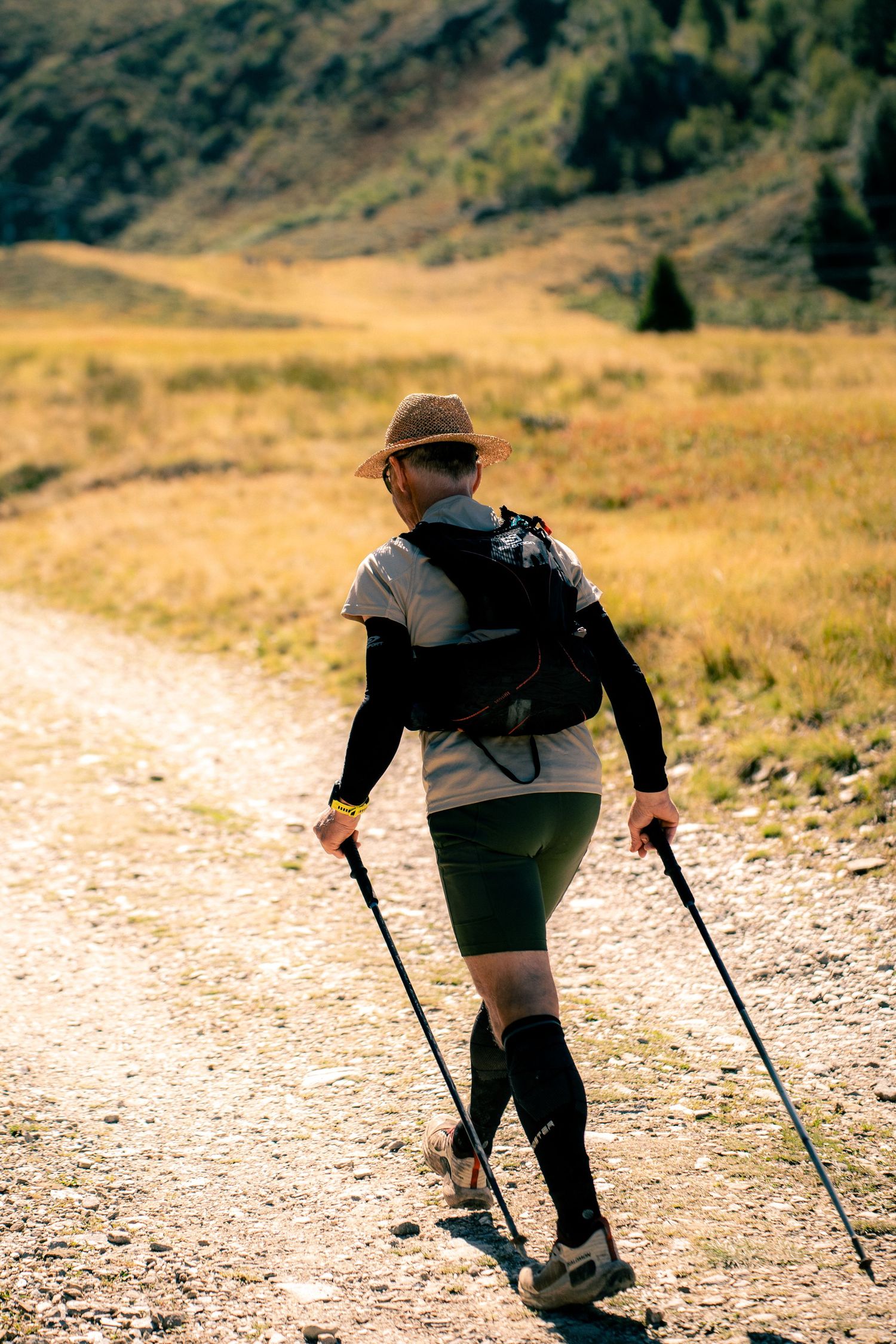 Rear view of hiker with backpack and trekking poles walking along dirt path through golden meadow.