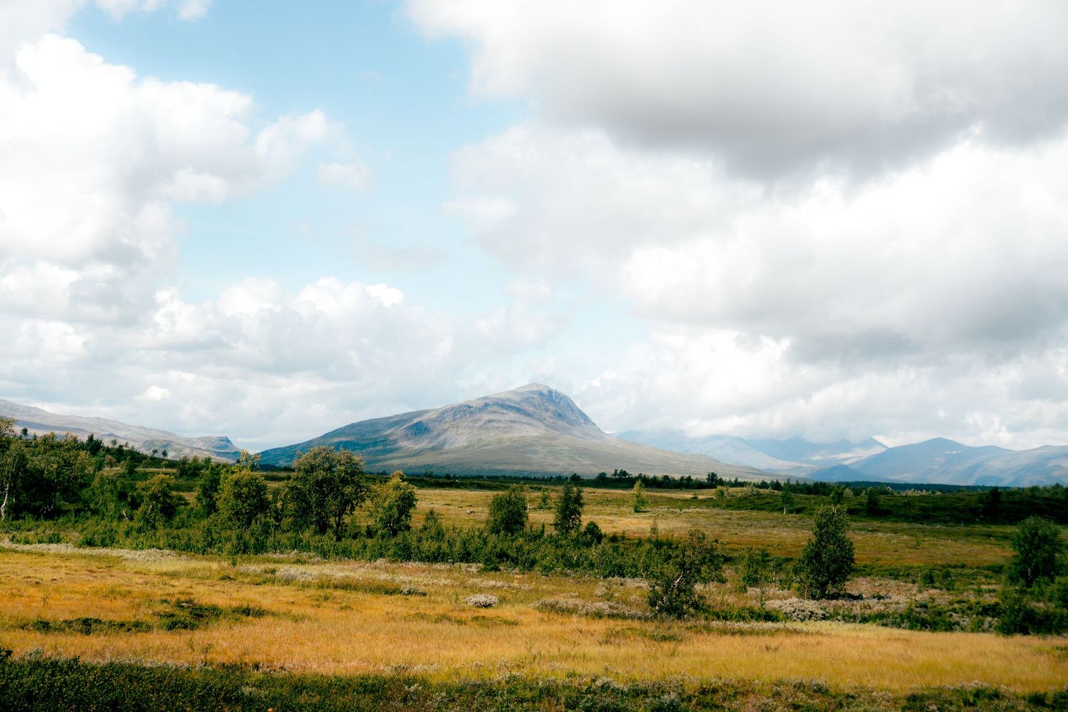 Expansive Scandinavian mountain landscape with open fields, sparse trees, and cloudy sky.