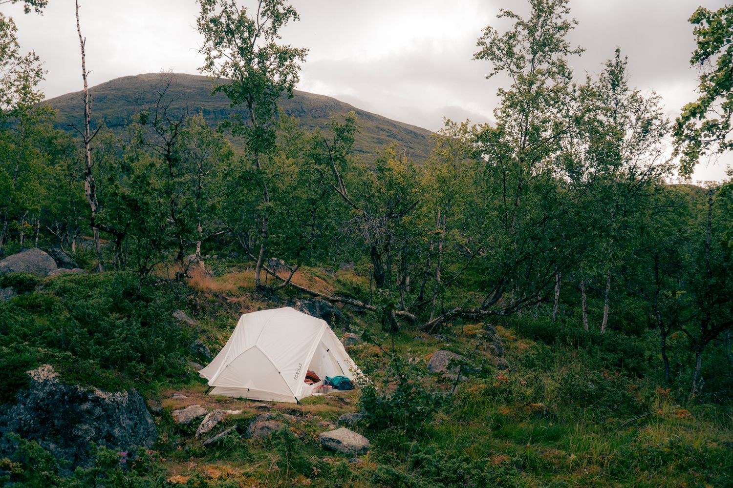 White camping tent nestled among birch trees with a misty mountain backdrop in a Scandinavian wilderness.