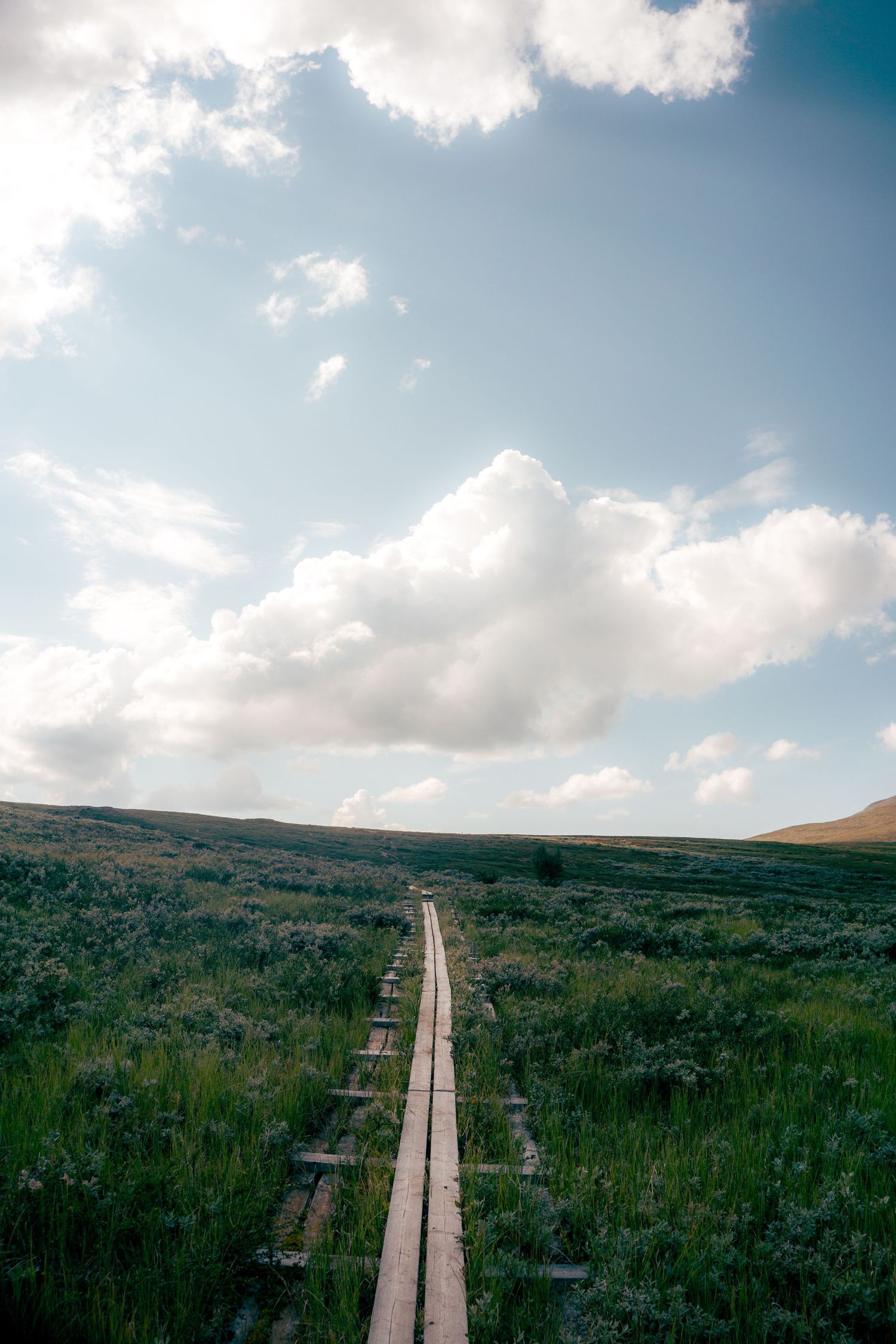 Wooden boardwalk trail stretching through open green moorland toward rolling hills under bright clouds.