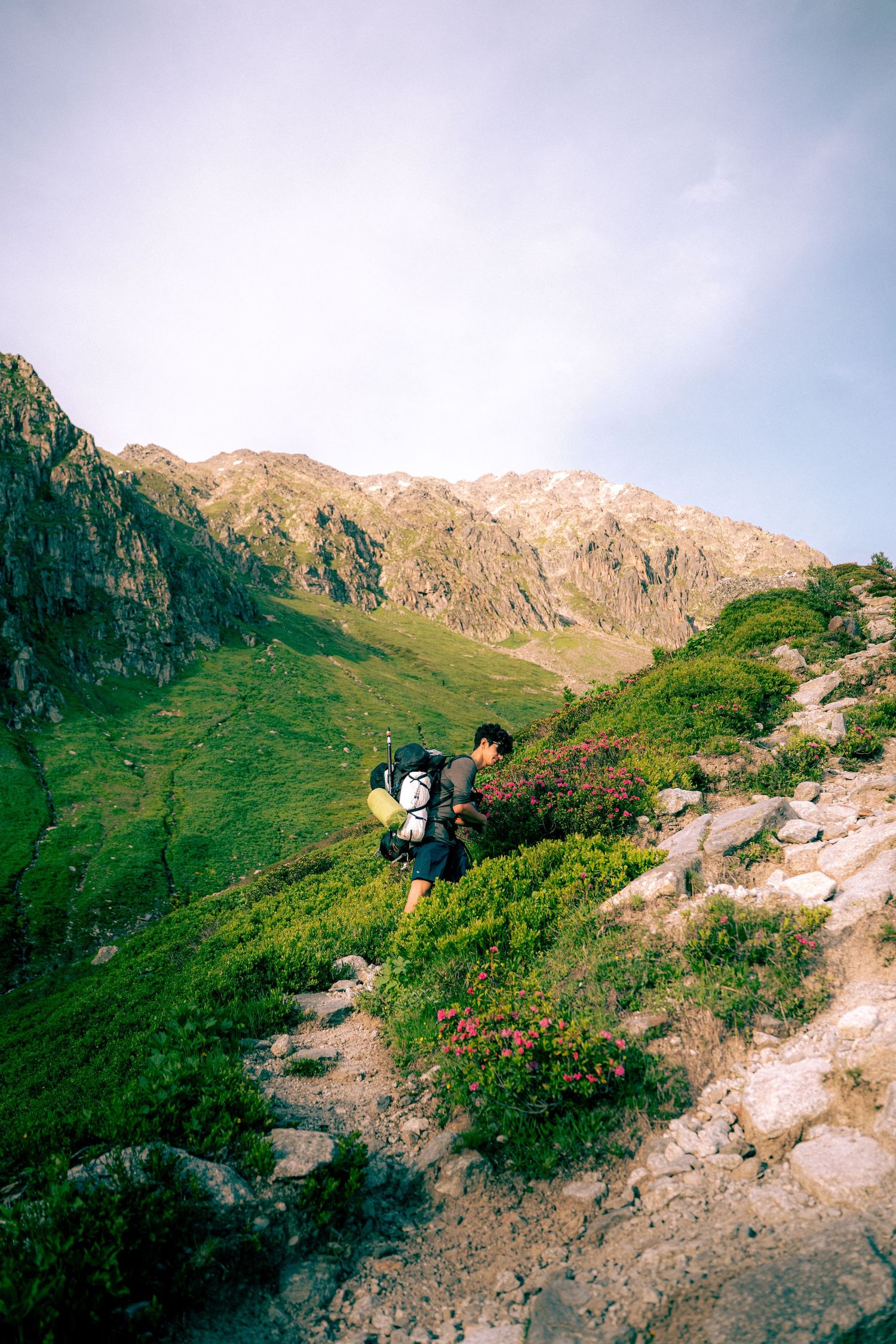 Hiker with backpack climbing a rocky mountain trail surrounded by green alpine meadows and pink wildflowers.