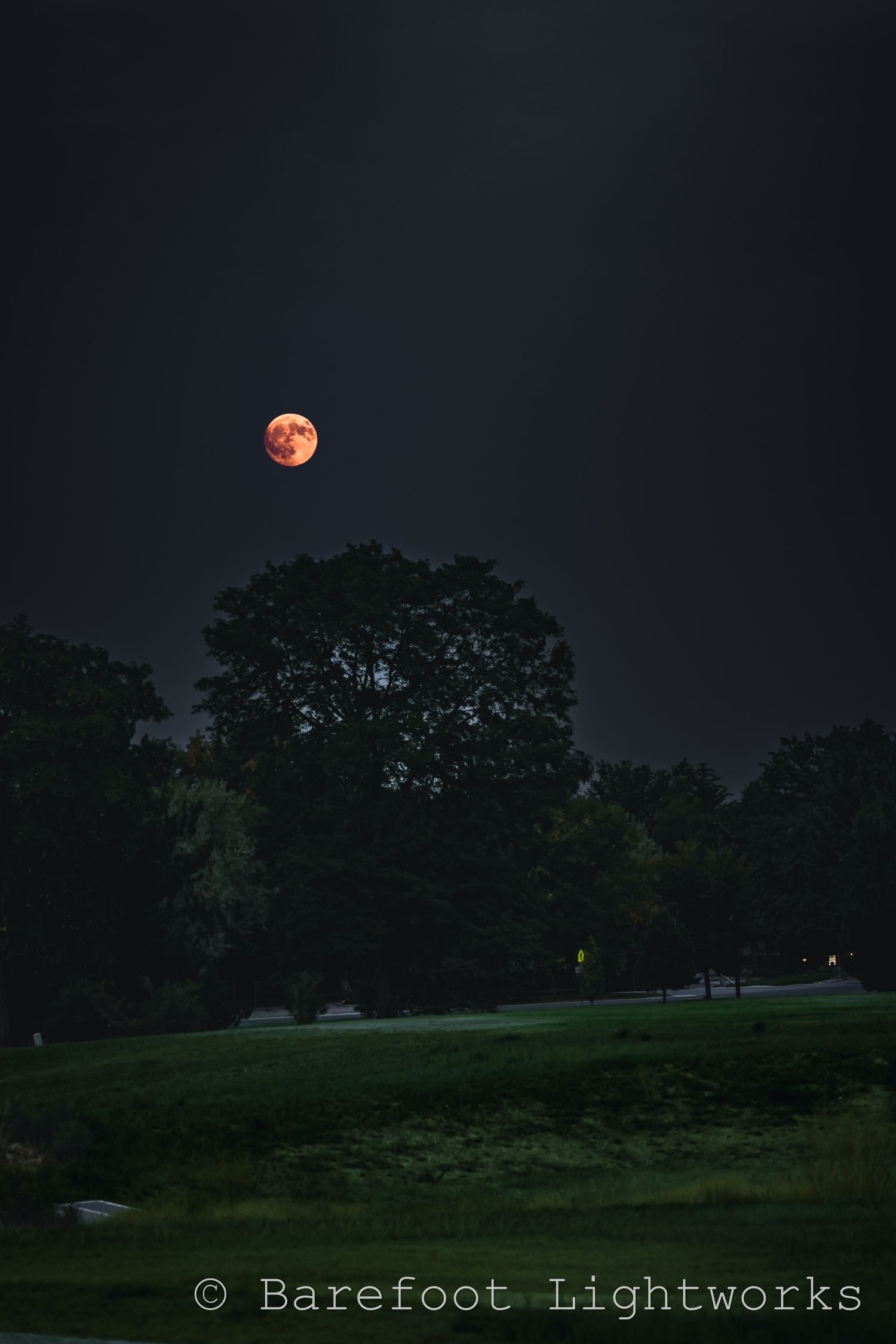 A dark photo of a blood moon over some trees in the distance.