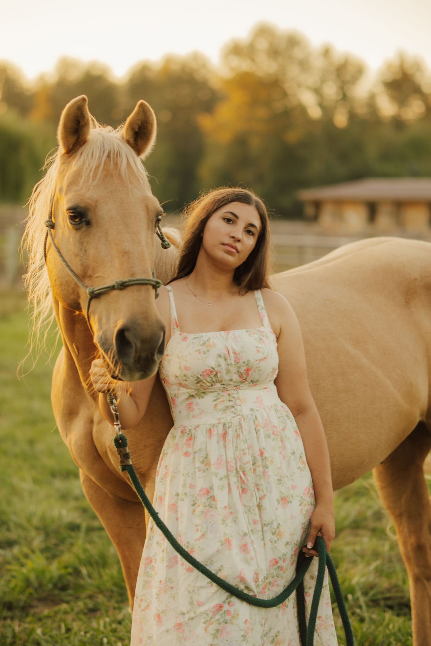 Woman in a floral sundress stands beside a palomino horse wearing a halter, holding its lead rope in a sunlit green pasture at golden hour.