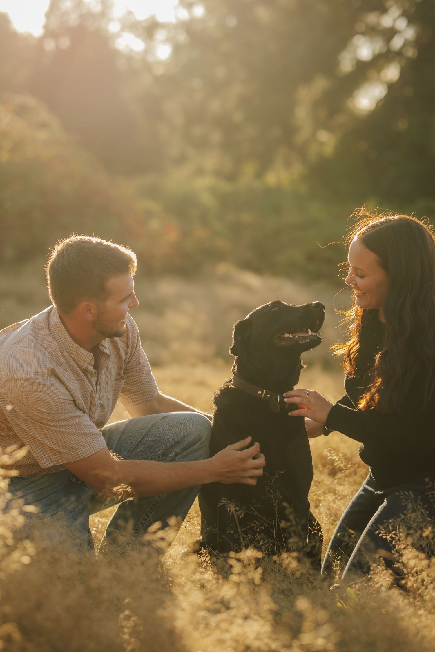 A man and a woman kneel in a golden sunlit field, smiling and petting a happy black Labrador during a warm sunset.