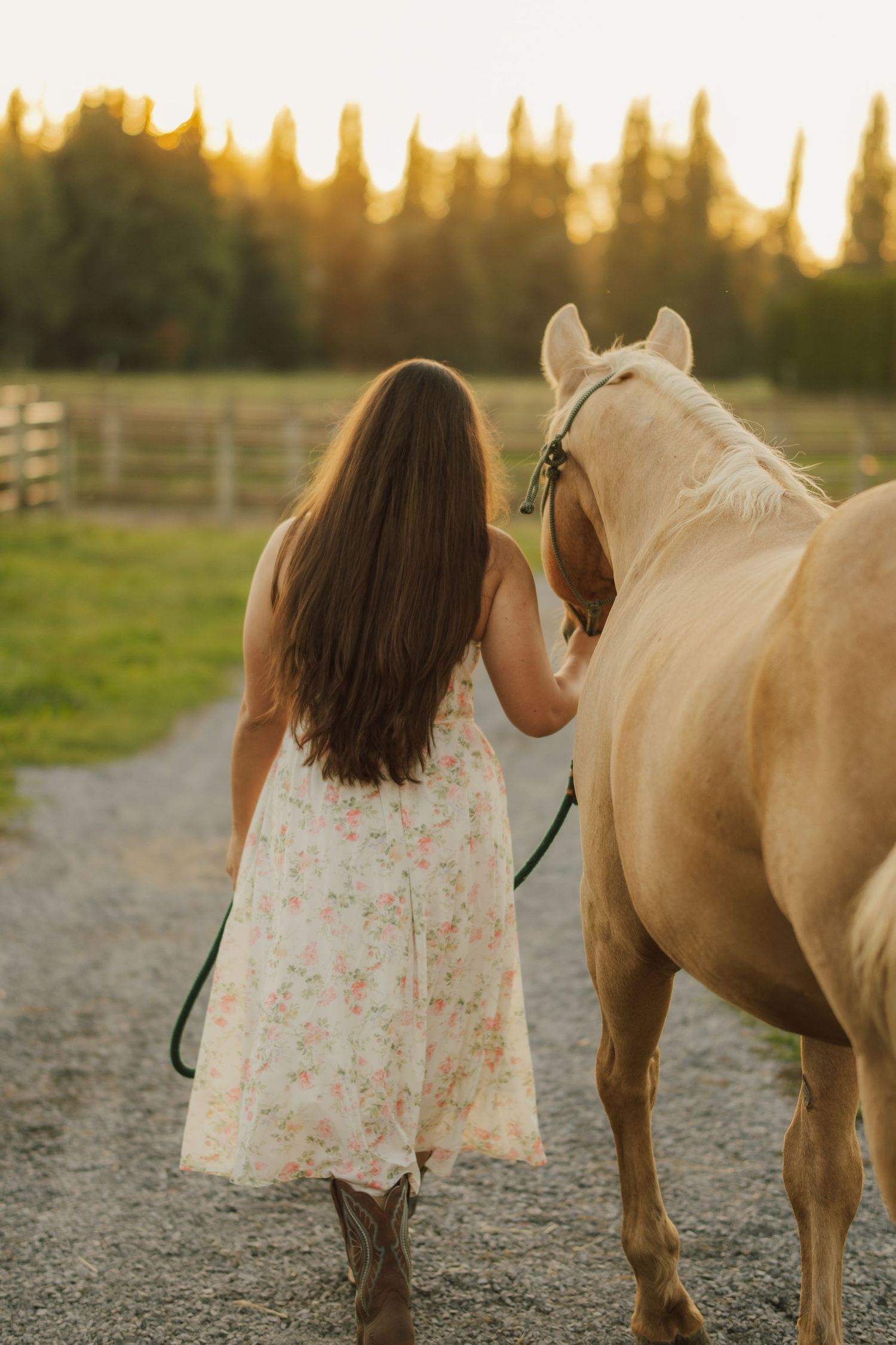 Woman in a floral dress and cowboy boots leads a palomino horse down a gravel path at golden hour sunset.