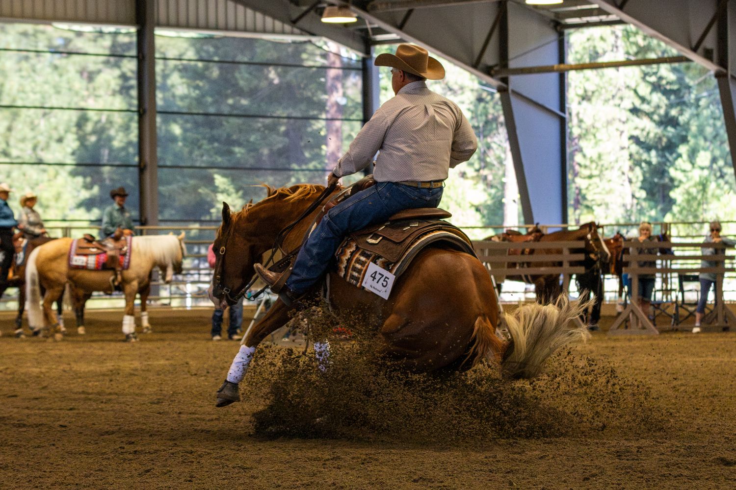 Horse show photography coverage showing reining horse sliding stop action shot.