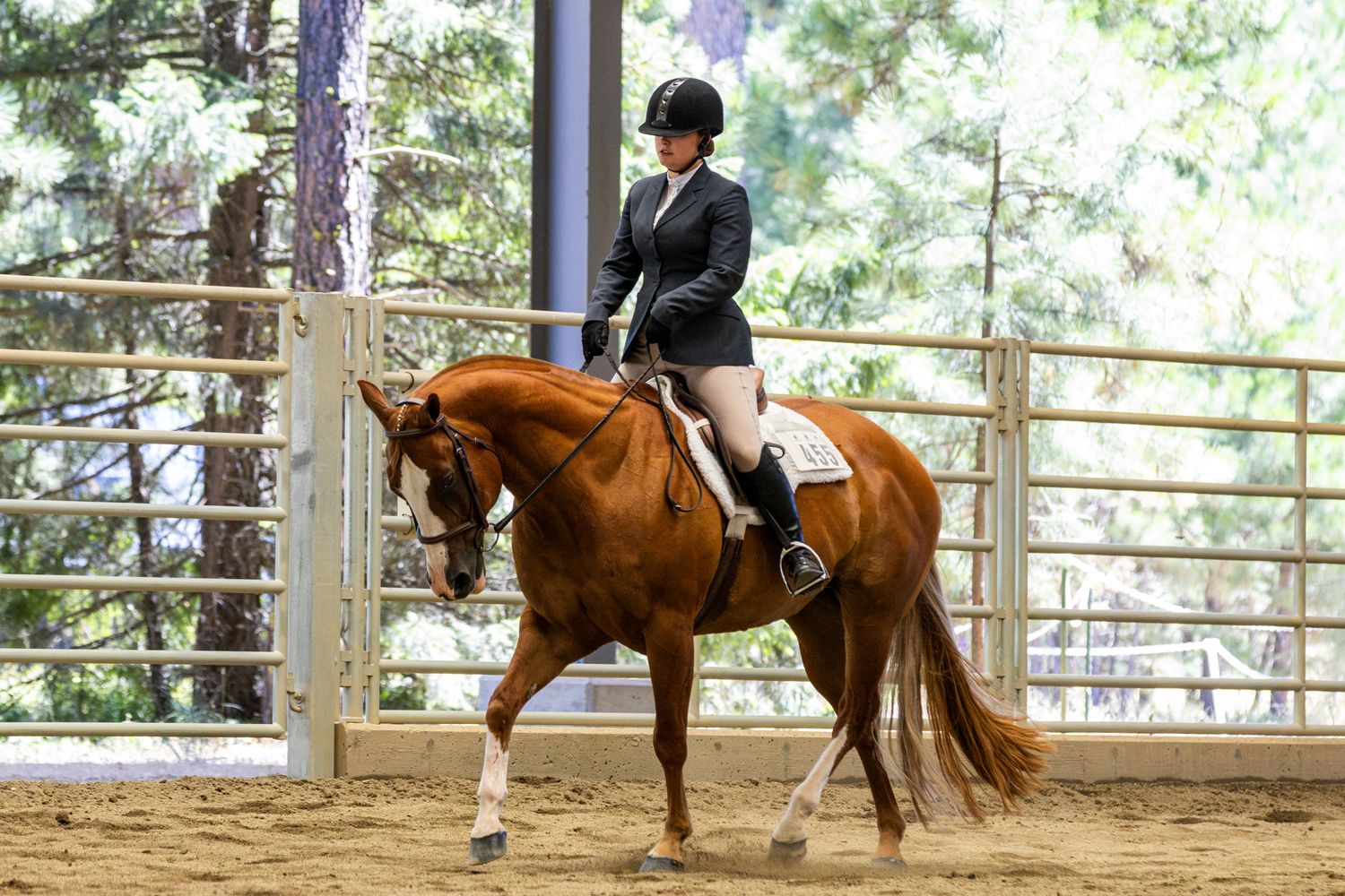 Horse show photography coverage showing a young english rider and their chestnut horse at Washington State Horse Park.