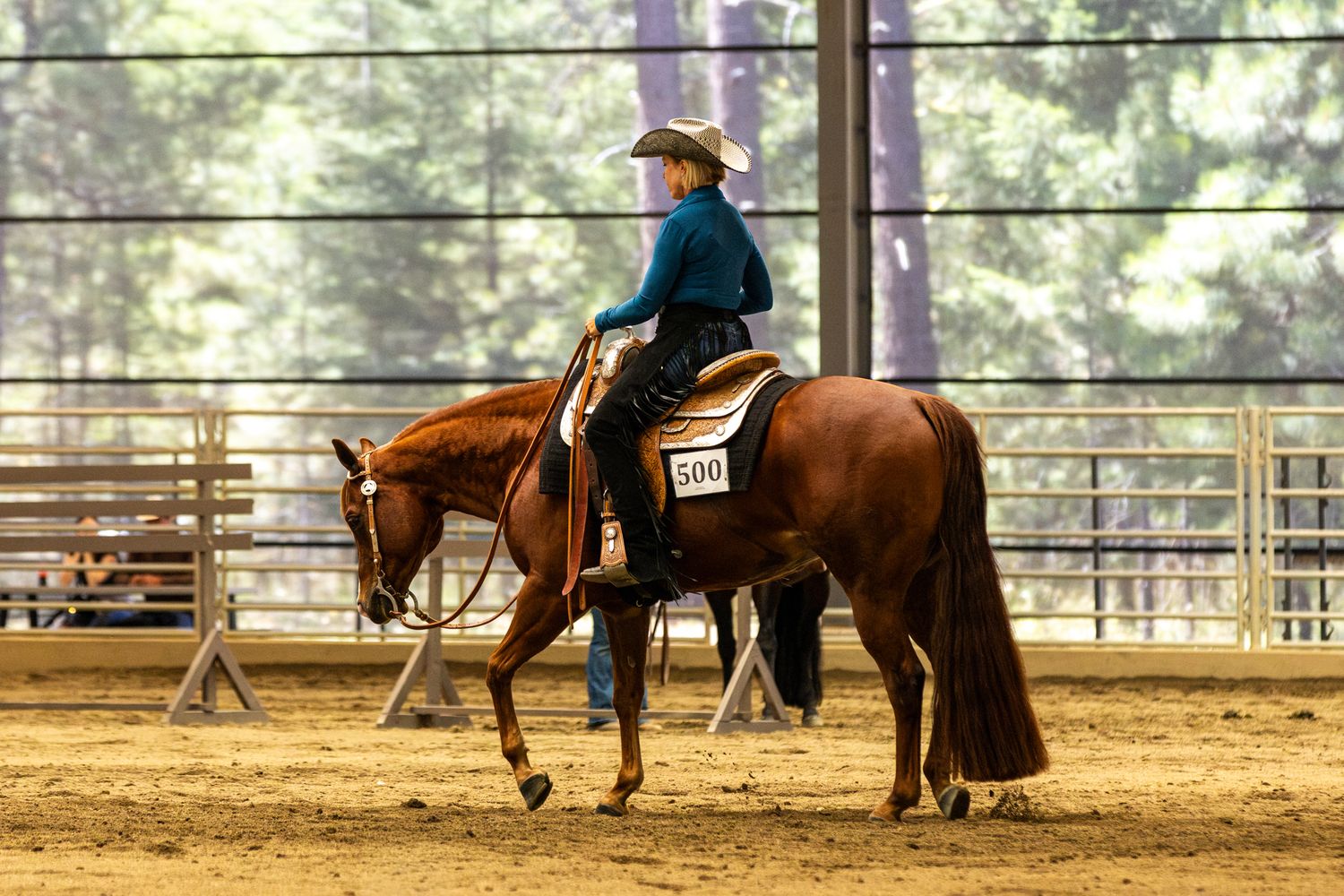 Horse show photography coverage showcasing a rider calmly riding at Washington State Horse Park.