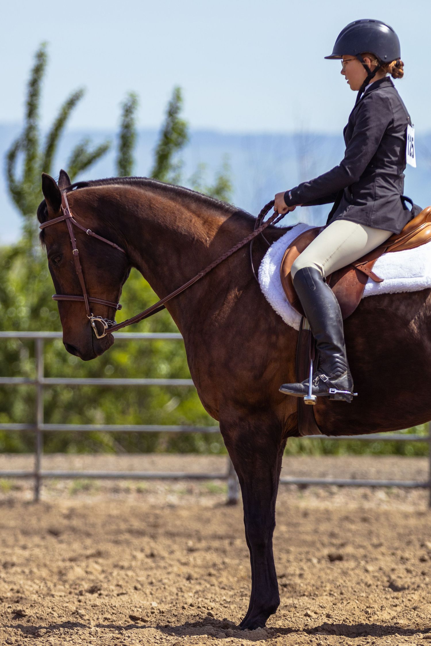 Horse show photography coverage showing this english rider at the Milton Freewater JR. Horse show.