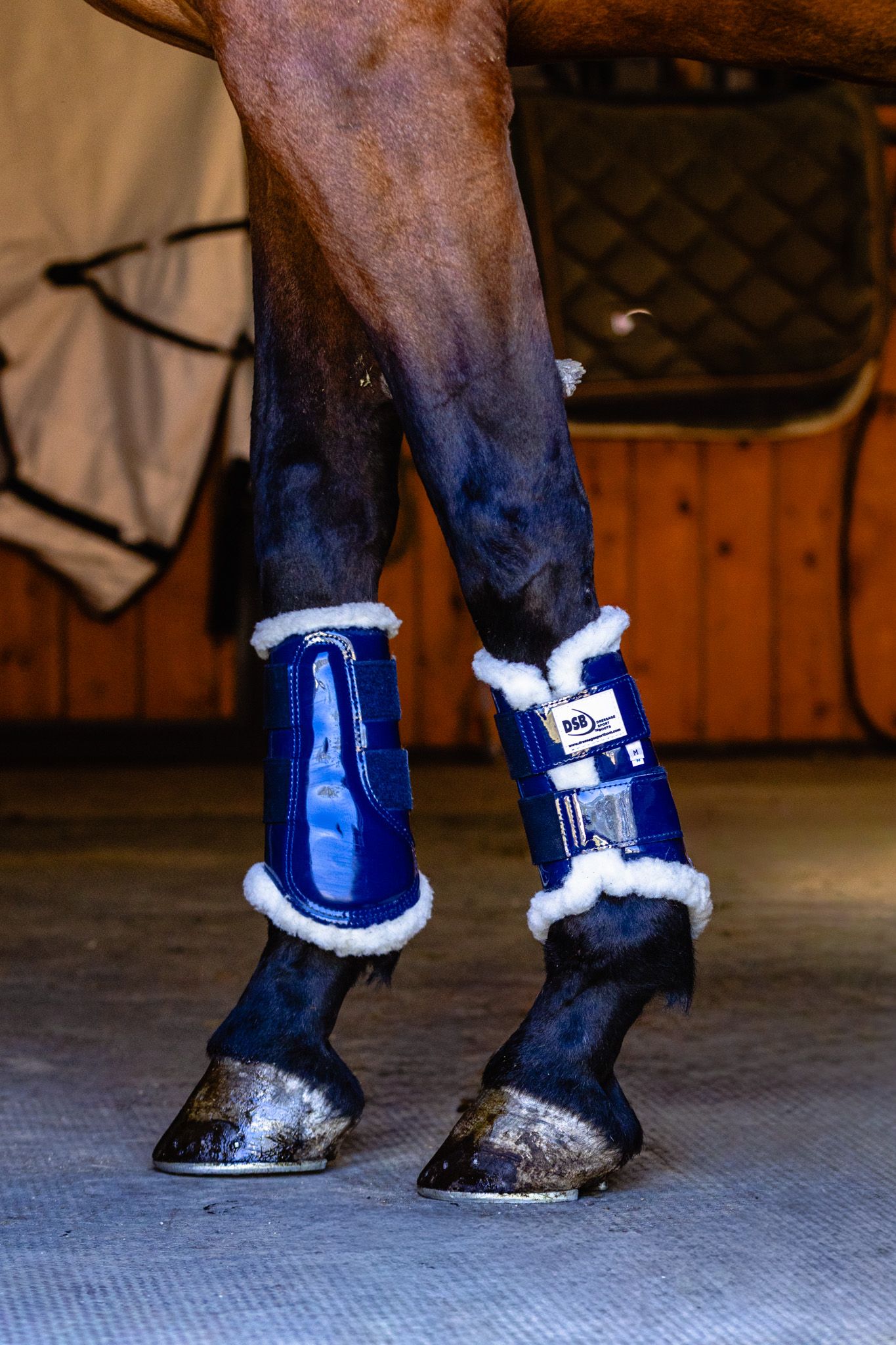 Shiny black horse boots are being photographed for a sponsorship campaign.
