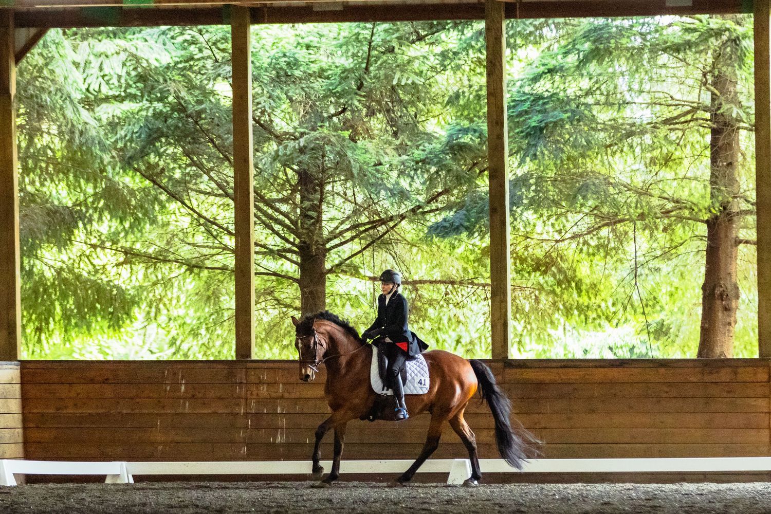 Horse show photography coverage showing a dressage rider in the beautiful Rolling Rock Stables.