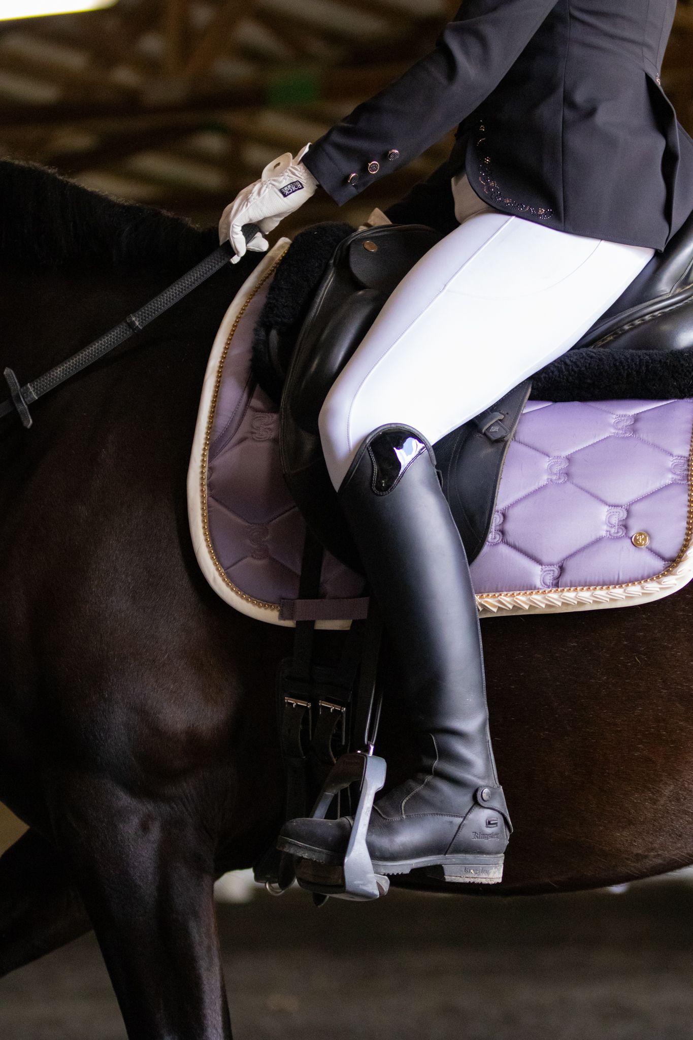 Horse show photography coverage showing the riders purple dressage tack.