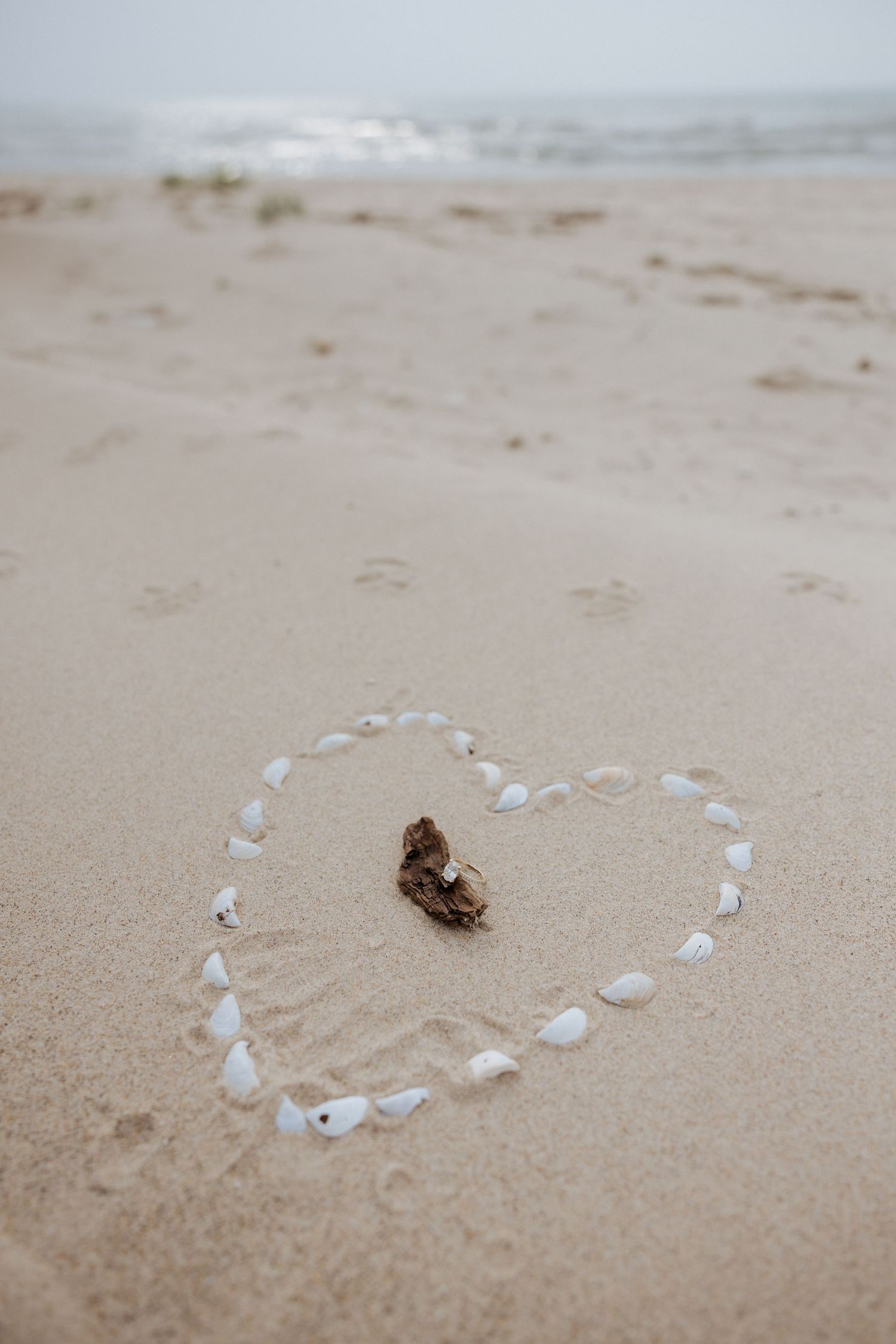 Heart shape made of white seashells on sandy beach with ocean waves softly blurred in the background.