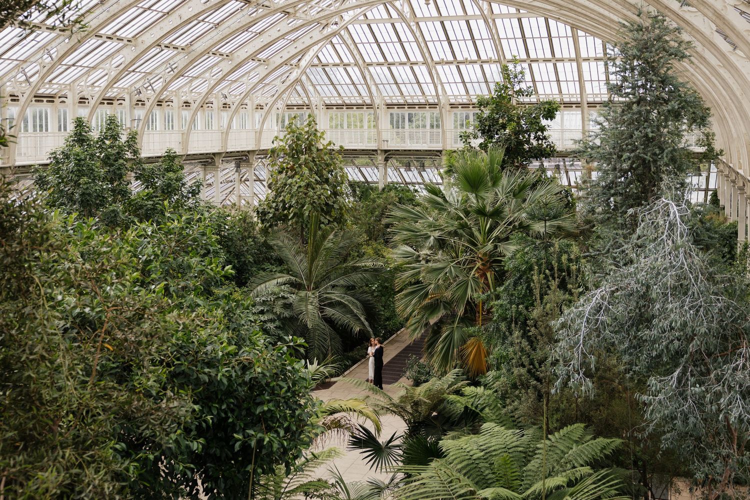 Couple standing among lush tropical palms and ferns inside a grand Victorian greenhouse.
