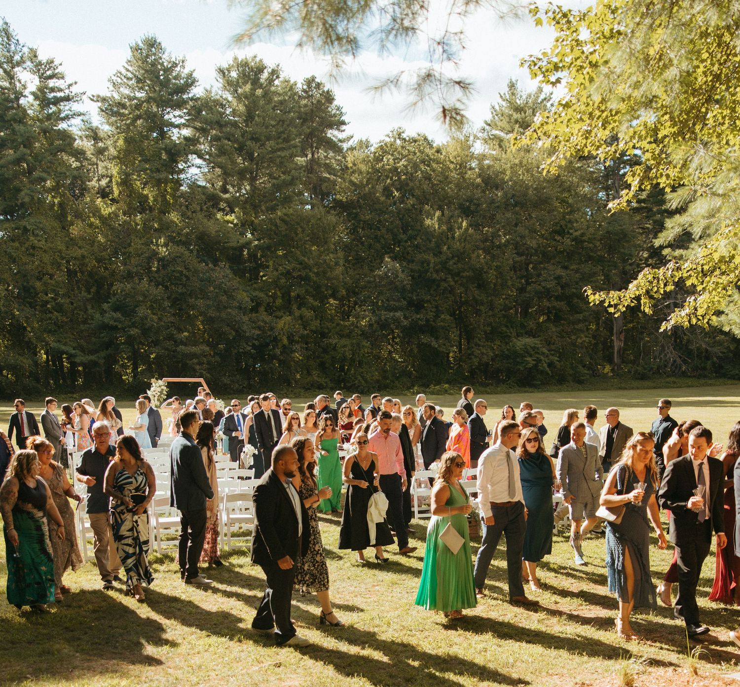 Outdoor wedding ceremony guests mingling on green lawn surrounded by tall trees on sunny day.