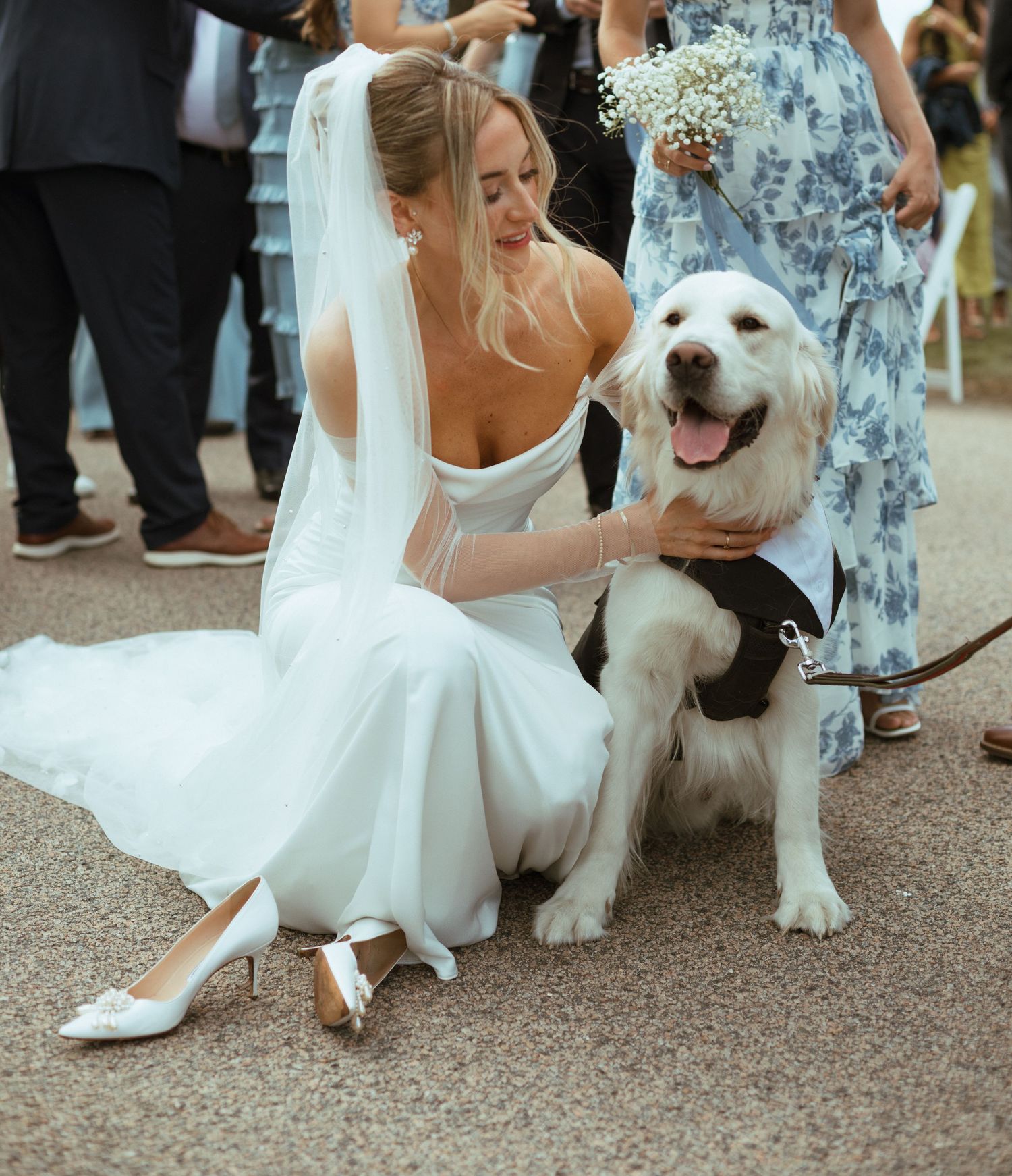 Radiant bride in white gown and veil kneels to pet her golden retriever dressed in a tuxedo bow tie.