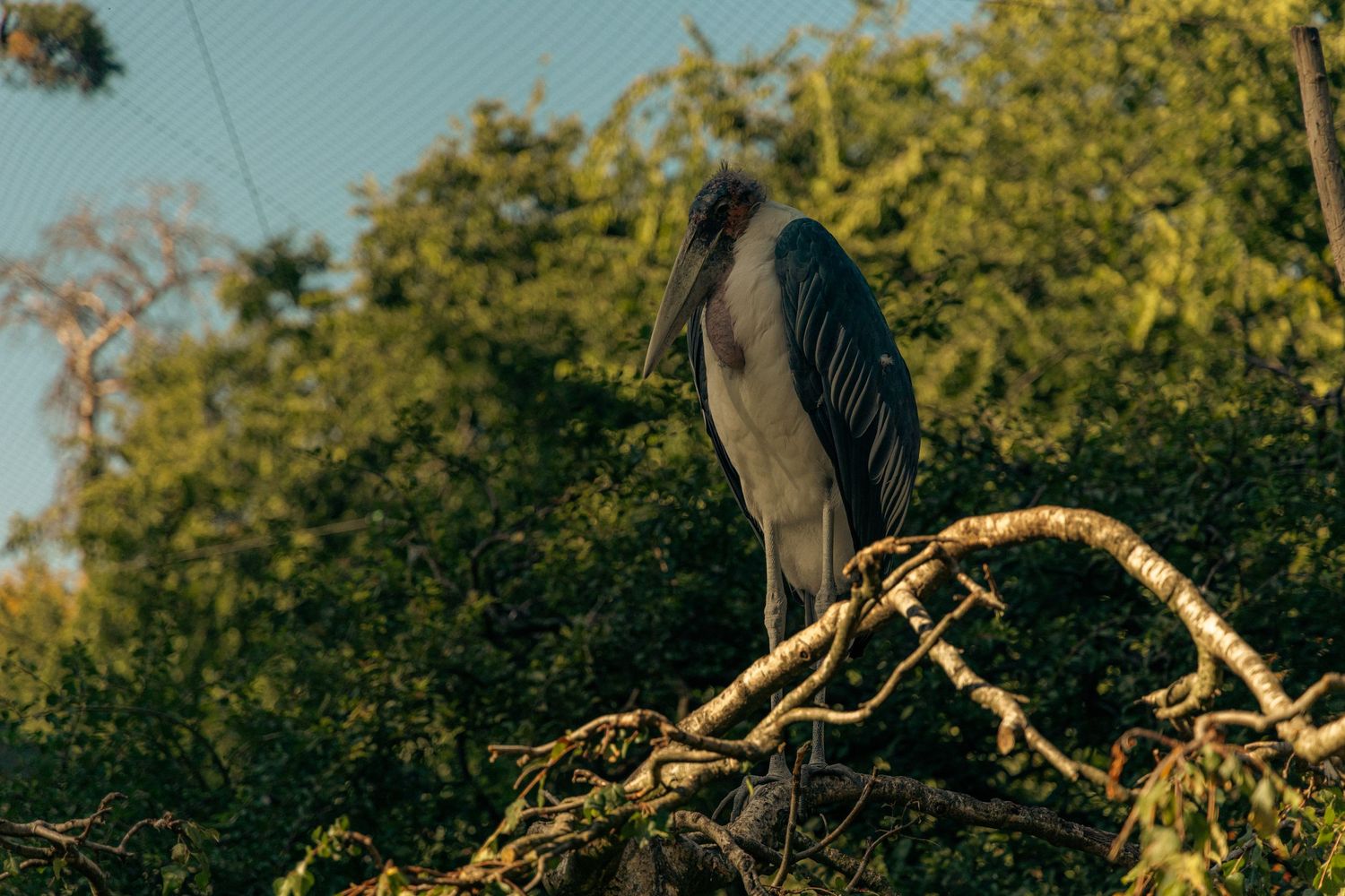 cinematic shot of an animal