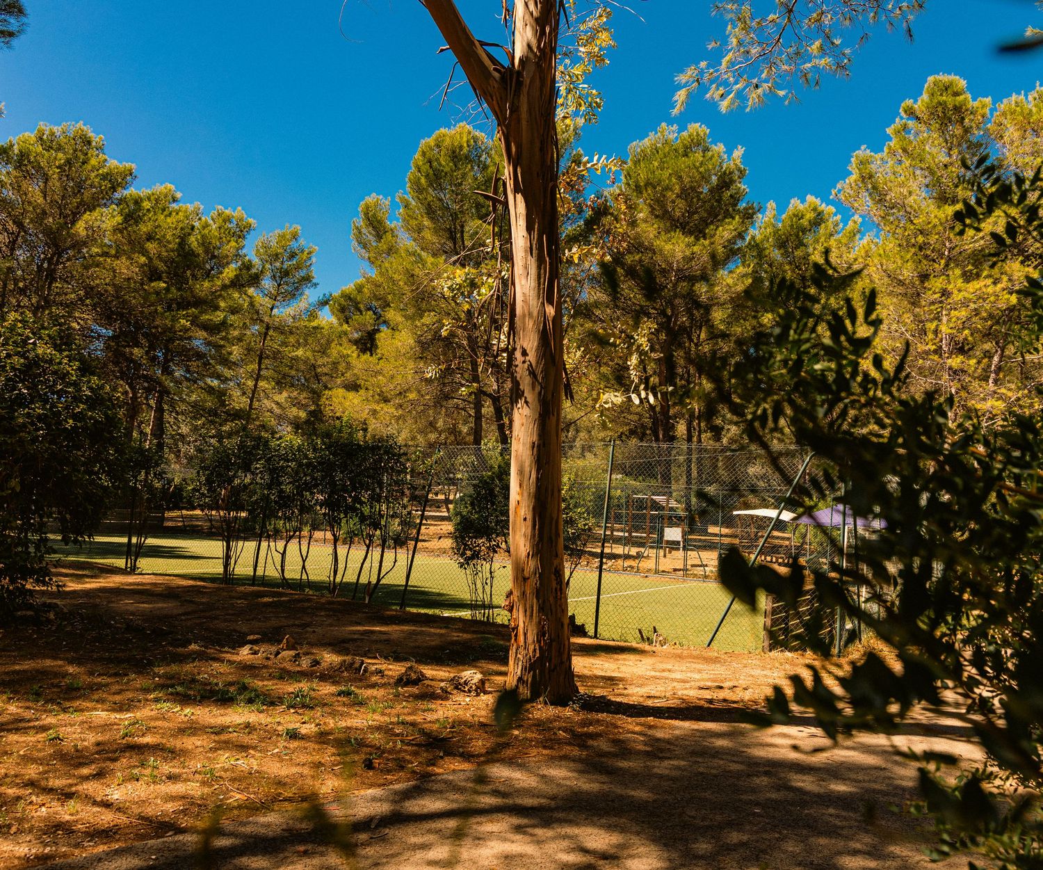 Commercial cinematic  photography of a camping by Pozik Studio, Catalunya shot in France