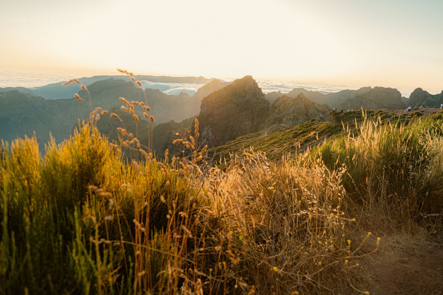 cinematic image of madeira by magda @pozik studio