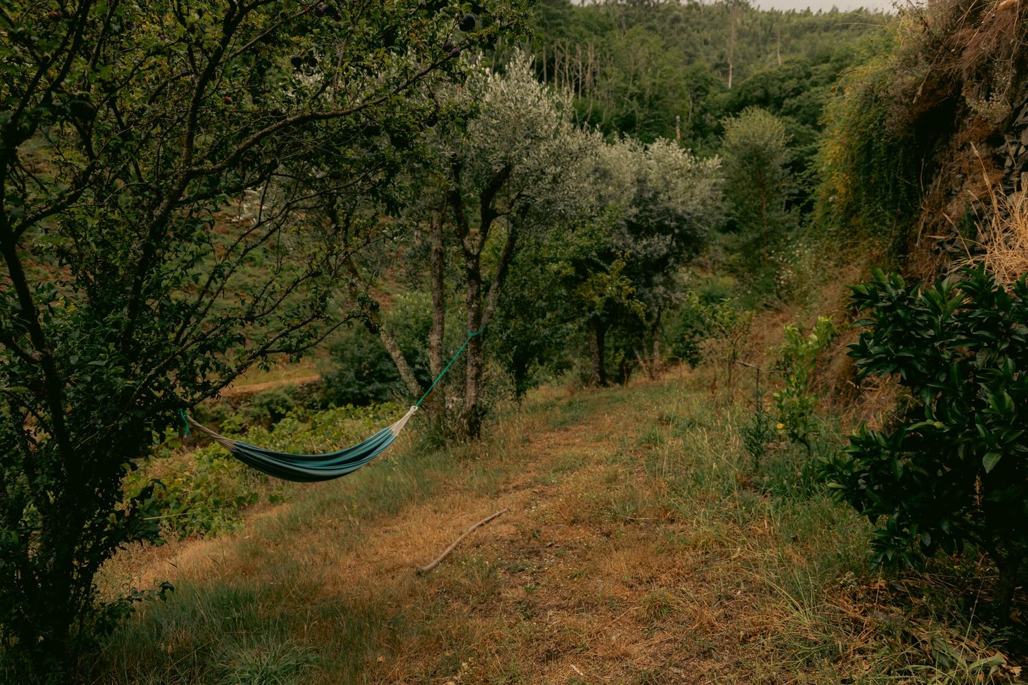 artistic image of a hammock shot in portugal by pozik studio