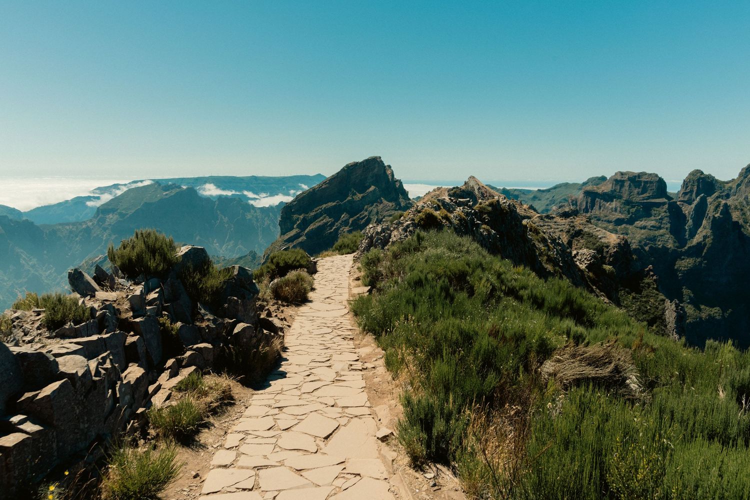 cinematic image of madeira by magda @pozik studio
