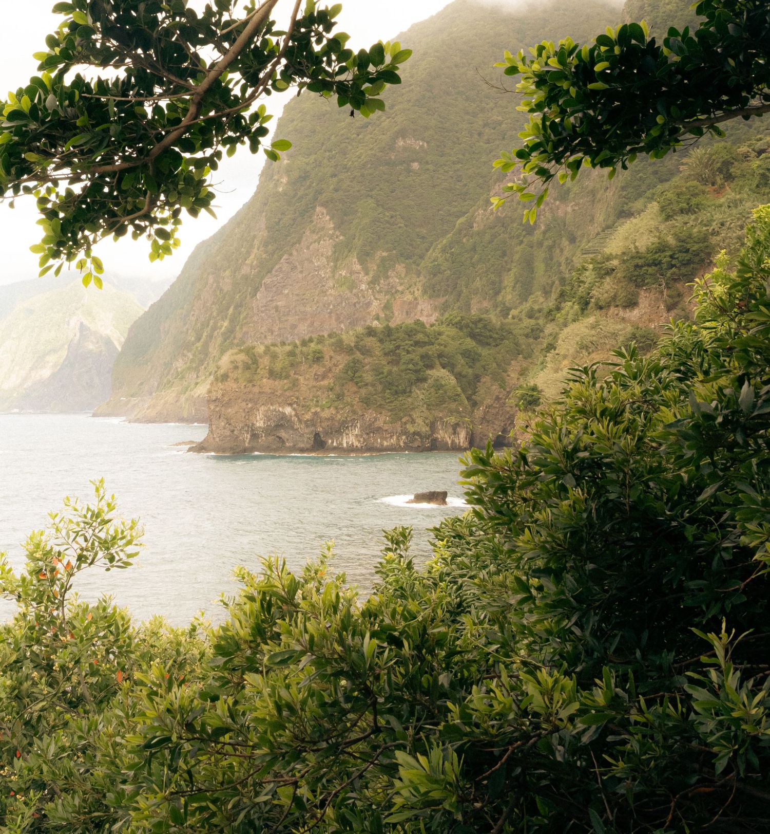 cinematic image of madeira by magda @pozik studio